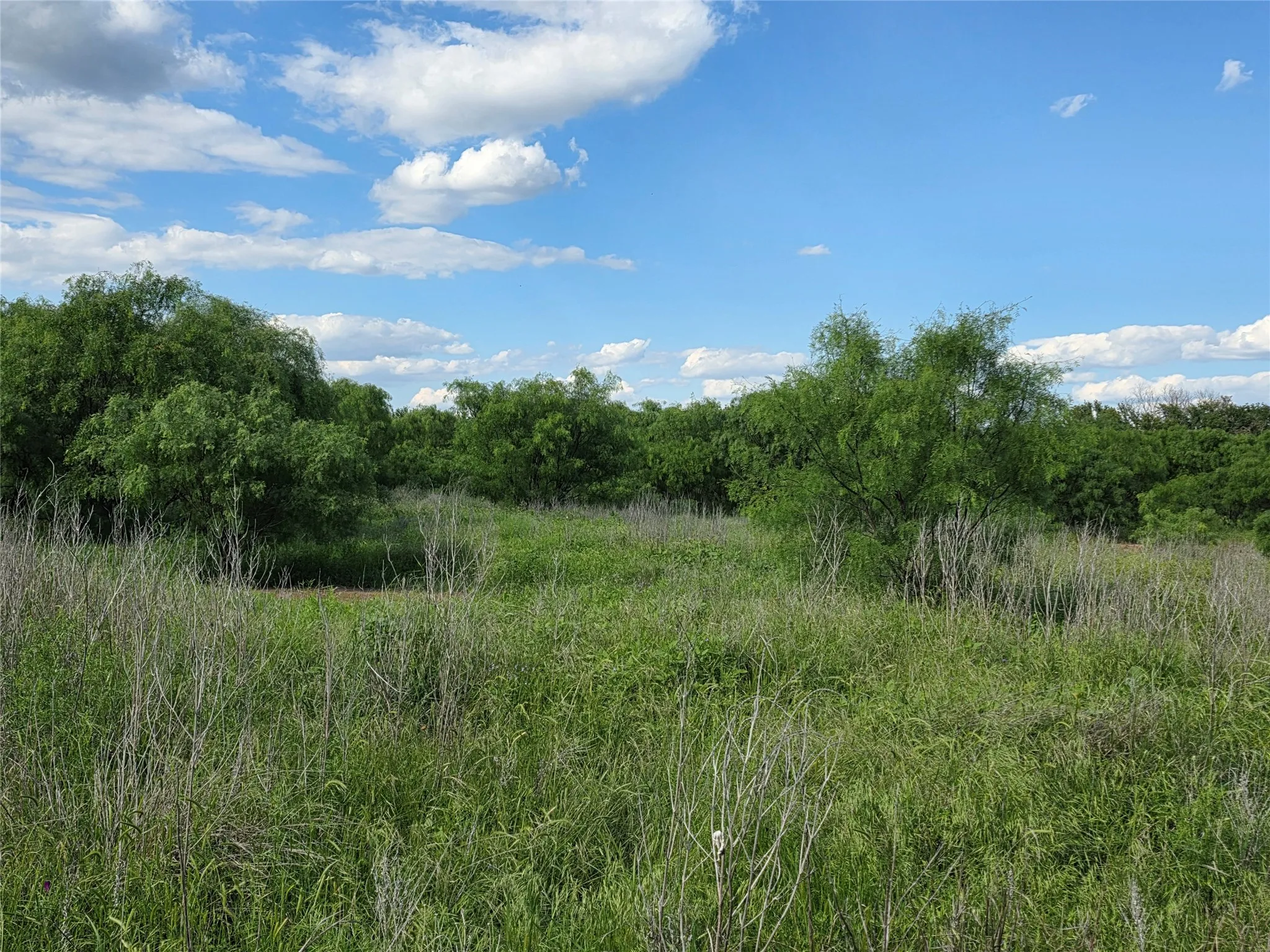 Ranch For Sale in Brown County , 3201 County Road 612, Bangs, Texas 76823, 0, 0, Garage spaces, 0 Sqft, built in 0, mls#21259981, Real Estate Agent in Bangs, Homes For Sale in Brown county, Homes For Sale in Bangs, Realtor in Bangs Texas, Real Estate Brokerage Independent Realty Texas, Luminita Cordes Realtor