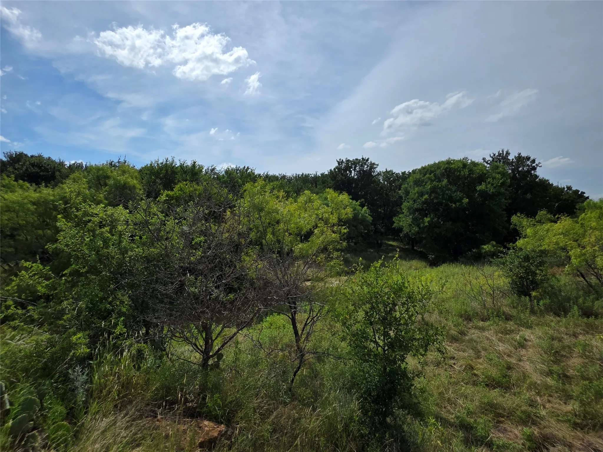 Ranch For Sale in Brown County , 3201 County Road 612, Bangs, Texas 76823, 0, 0, Garage spaces, 0 Sqft, built in 0, mls#21259981, Real Estate Agent in Bangs, Homes For Sale in Brown county, Homes For Sale in Bangs, Realtor in Bangs Texas, Real Estate Brokerage Independent Realty Texas, Luminita Cordes Realtor