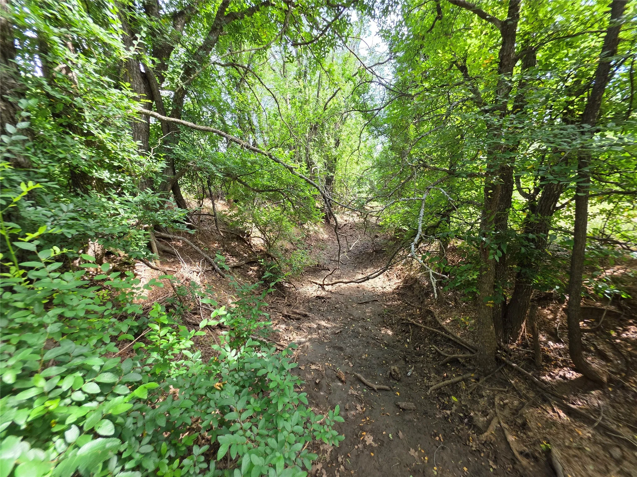 Ranch For Sale in Brown County , 3201 County Road 612, Bangs, Texas 76823, 0, 0, Garage spaces, 0 Sqft, built in 0, mls#21259981, Real Estate Agent in Bangs, Homes For Sale in Brown county, Homes For Sale in Bangs, Realtor in Bangs Texas, Real Estate Brokerage Independent Realty Texas, Luminita Cordes Realtor