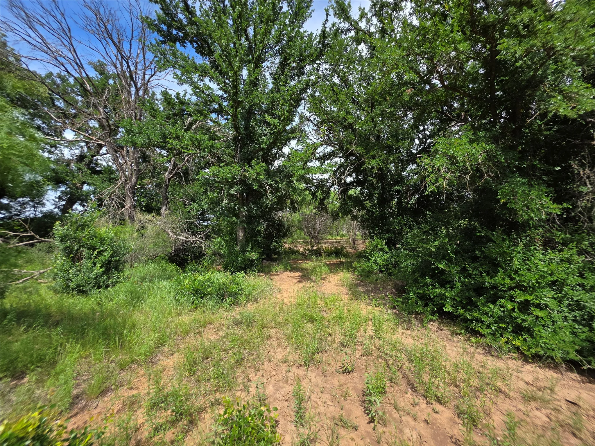 Ranch For Sale in Brown County , 3201 County Road 612, Bangs, Texas 76823, 0, 0, Garage spaces, 0 Sqft, built in 0, mls#21259981, Real Estate Agent in Bangs, Homes For Sale in Brown county, Homes For Sale in Bangs, Realtor in Bangs Texas, Real Estate Brokerage Independent Realty Texas, Luminita Cordes Realtor