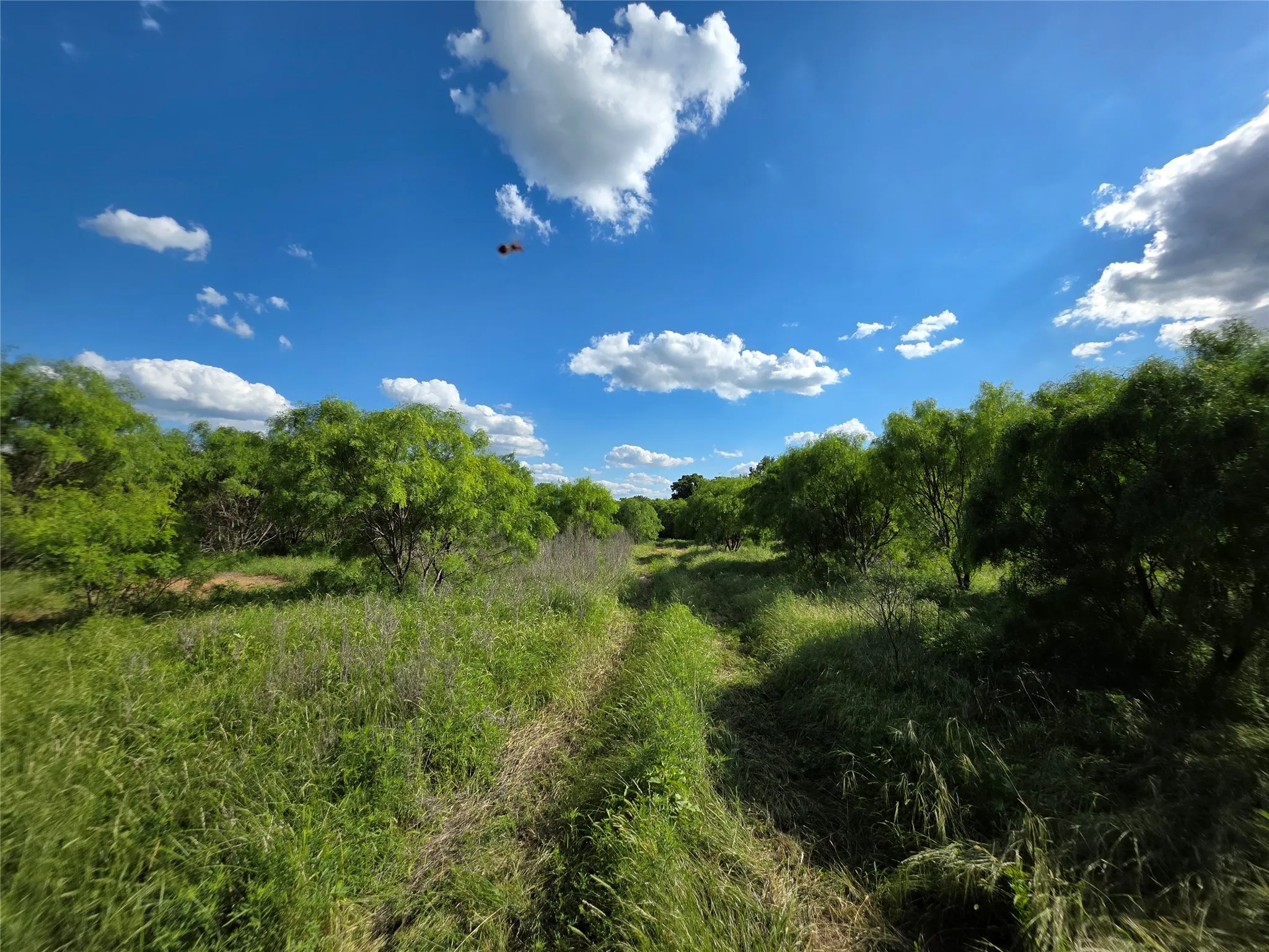Ranch For Sale in Brown County , 3201 County Road 612, Bangs, Texas 76823, 0, 0, Garage spaces, 0 Sqft, built in 0, mls#21259981, Real Estate Agent in Bangs, Homes For Sale in Brown county, Homes For Sale in Bangs, Realtor in Bangs Texas, Real Estate Brokerage Independent Realty Texas, Luminita Cordes Realtor