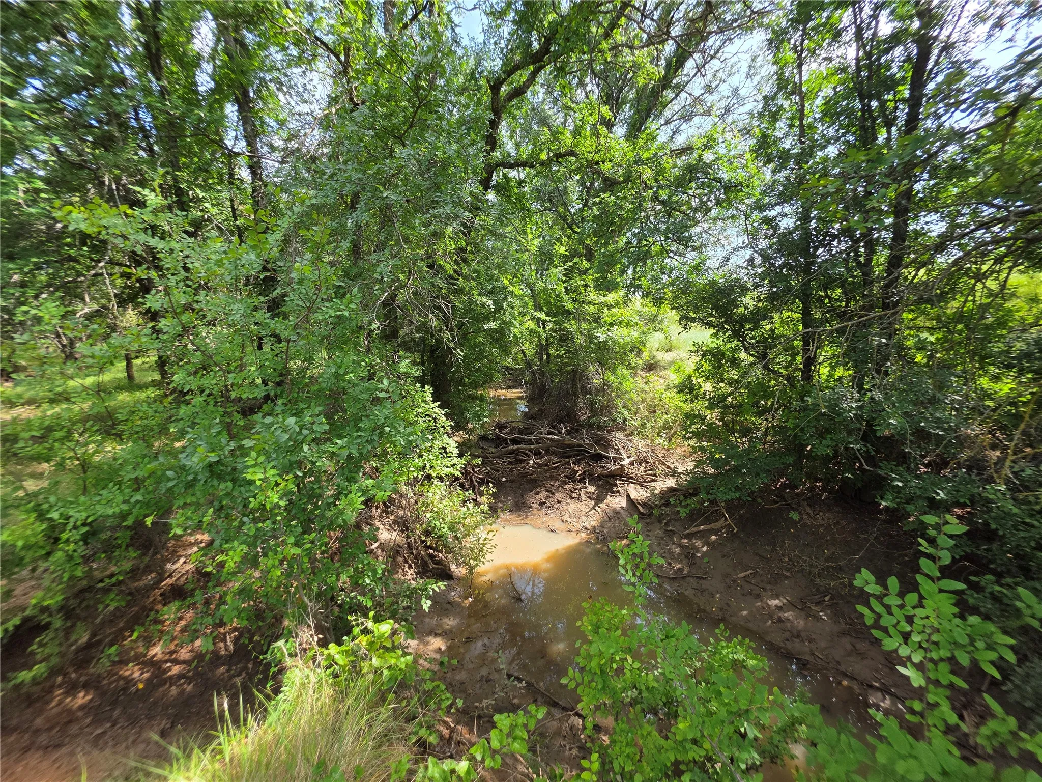 Ranch For Sale in Brown County , 3201 County Road 612, Bangs, Texas 76823, 0, 0, Garage spaces, 0 Sqft, built in 0, mls#21259981, Real Estate Agent in Bangs, Homes For Sale in Brown county, Homes For Sale in Bangs, Realtor in Bangs Texas, Real Estate Brokerage Independent Realty Texas, Luminita Cordes Realtor