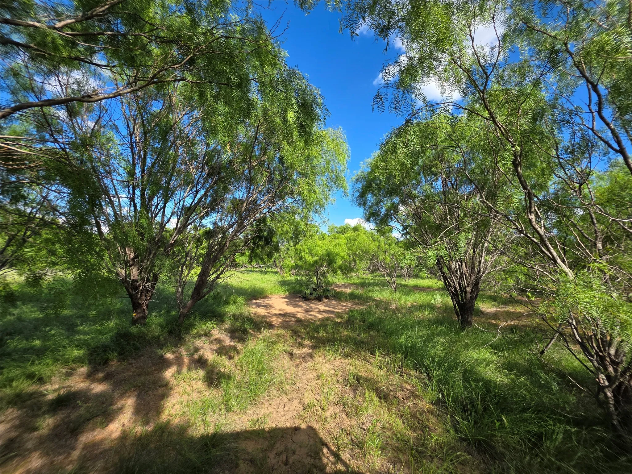 Ranch For Sale in Brown County , 3201 County Road 612, Bangs, Texas 76823, 0, 0, Garage spaces, 0 Sqft, built in 0, mls#21259981, Real Estate Agent in Bangs, Homes For Sale in Brown county, Homes For Sale in Bangs, Realtor in Bangs Texas, Real Estate Brokerage Independent Realty Texas, Luminita Cordes Realtor