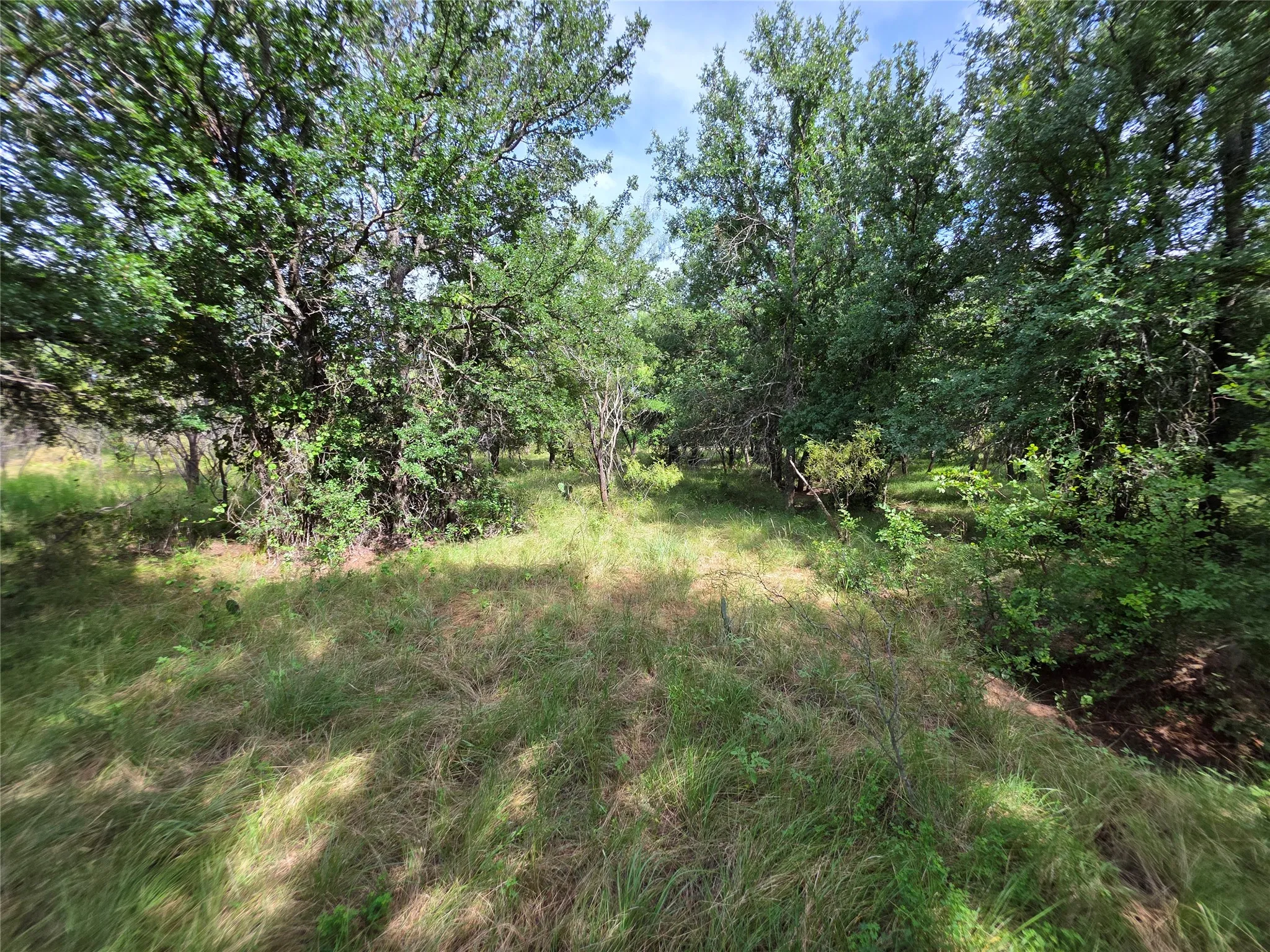 Ranch For Sale in Brown County , 3201 County Road 612, Bangs, Texas 76823, 0, 0, Garage spaces, 0 Sqft, built in 0, mls#21259981, Real Estate Agent in Bangs, Homes For Sale in Brown county, Homes For Sale in Bangs, Realtor in Bangs Texas, Real Estate Brokerage Independent Realty Texas, Luminita Cordes Realtor