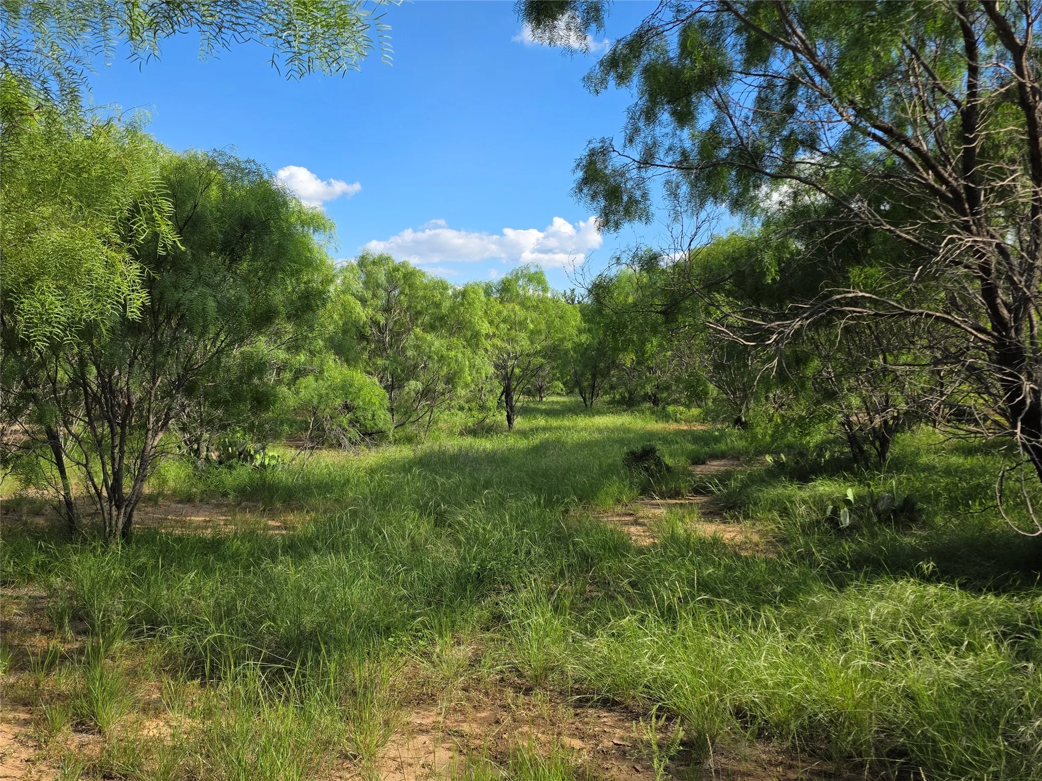 Ranch For Sale in Brown County , 3201 County Road 612, Bangs, Texas 76823, 0, 0, Garage spaces, 0 Sqft, built in 0, mls#21259981, Real Estate Agent in Bangs, Homes For Sale in Brown county, Homes For Sale in Bangs, Realtor in Bangs Texas, Real Estate Brokerage Independent Realty Texas, Luminita Cordes Realtor