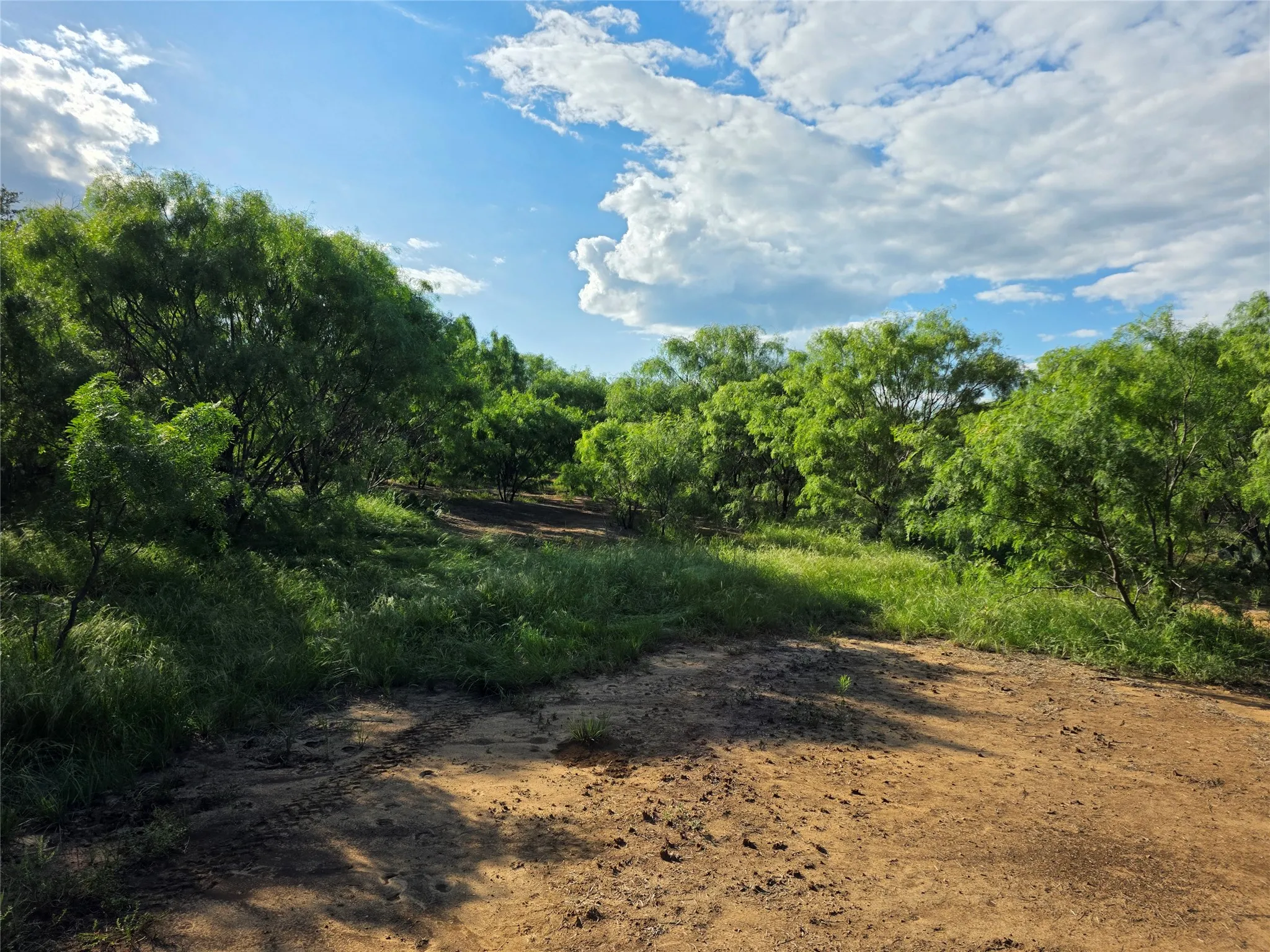 Ranch For Sale in Brown County , 3201 County Road 612, Bangs, Texas 76823, 0, 0, Garage spaces, 0 Sqft, built in 0, mls#21259981, Real Estate Agent in Bangs, Homes For Sale in Brown county, Homes For Sale in Bangs, Realtor in Bangs Texas, Real Estate Brokerage Independent Realty Texas, Luminita Cordes Realtor