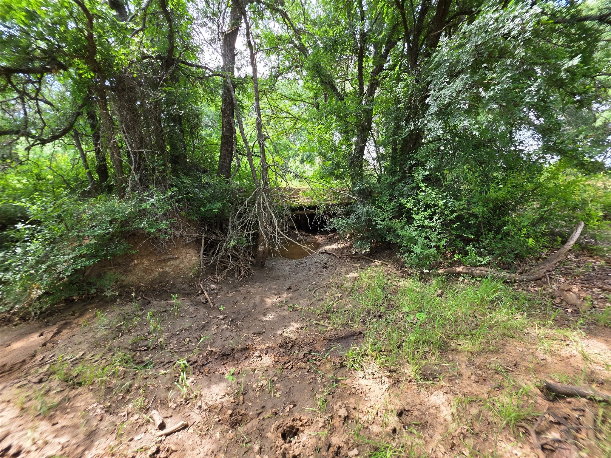 Ranch For Sale in Brown County , 3201 County Road 612, Bangs, Texas 76823, 0, 0, Garage spaces, 0 Sqft, built in 0, mls#21259981, Real Estate Agent in Bangs, Homes For Sale in Brown county, Homes For Sale in Bangs, Realtor in Bangs Texas, Real Estate Brokerage Independent Realty Texas, Luminita Cordes Realtor