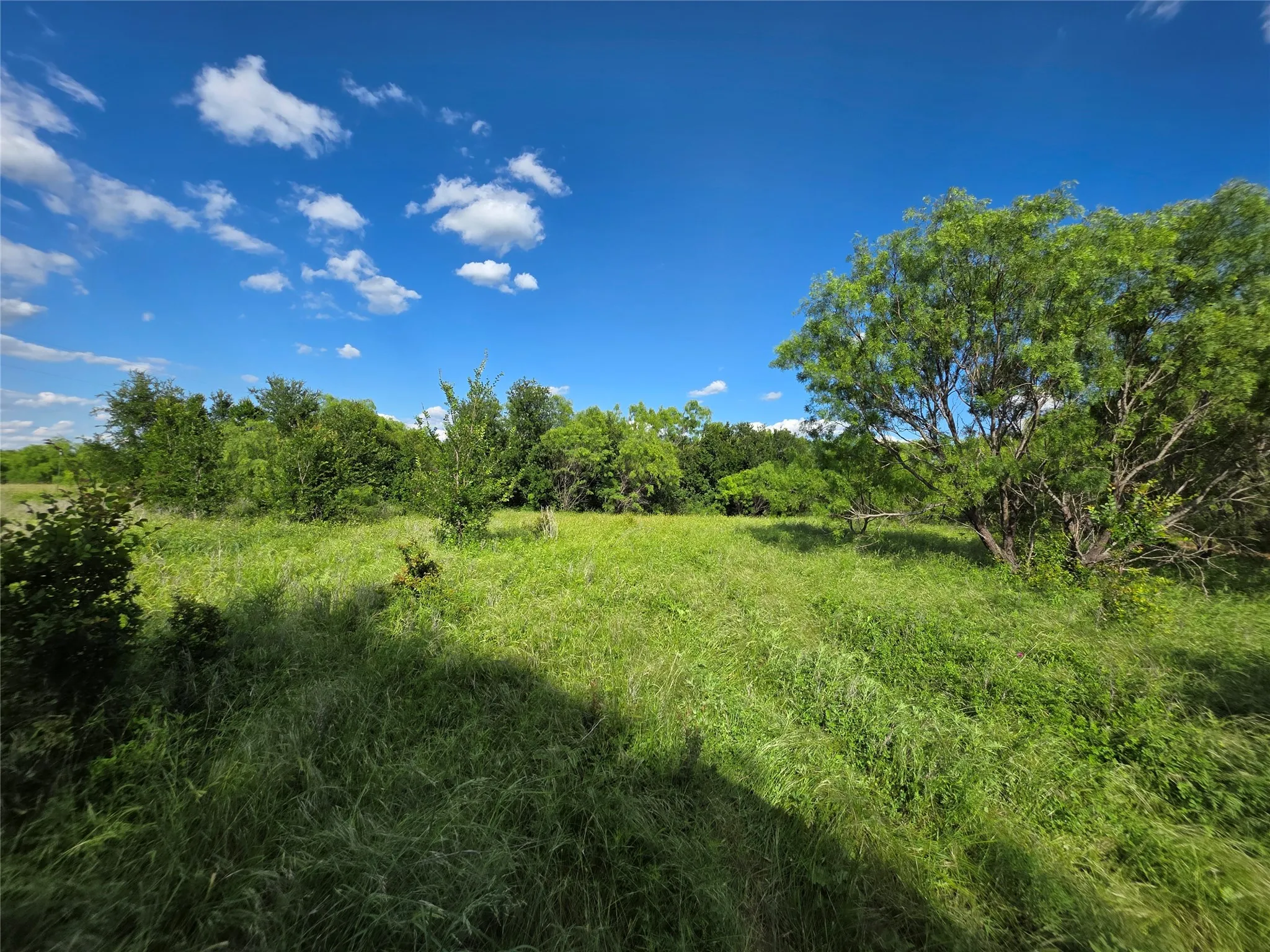 Ranch For Sale in Brown County , 3201 County Road 612, Bangs, Texas 76823, 0, 0, Garage spaces, 0 Sqft, built in 0, mls#21259981, Real Estate Agent in Bangs, Homes For Sale in Brown county, Homes For Sale in Bangs, Realtor in Bangs Texas, Real Estate Brokerage Independent Realty Texas, Luminita Cordes Realtor
