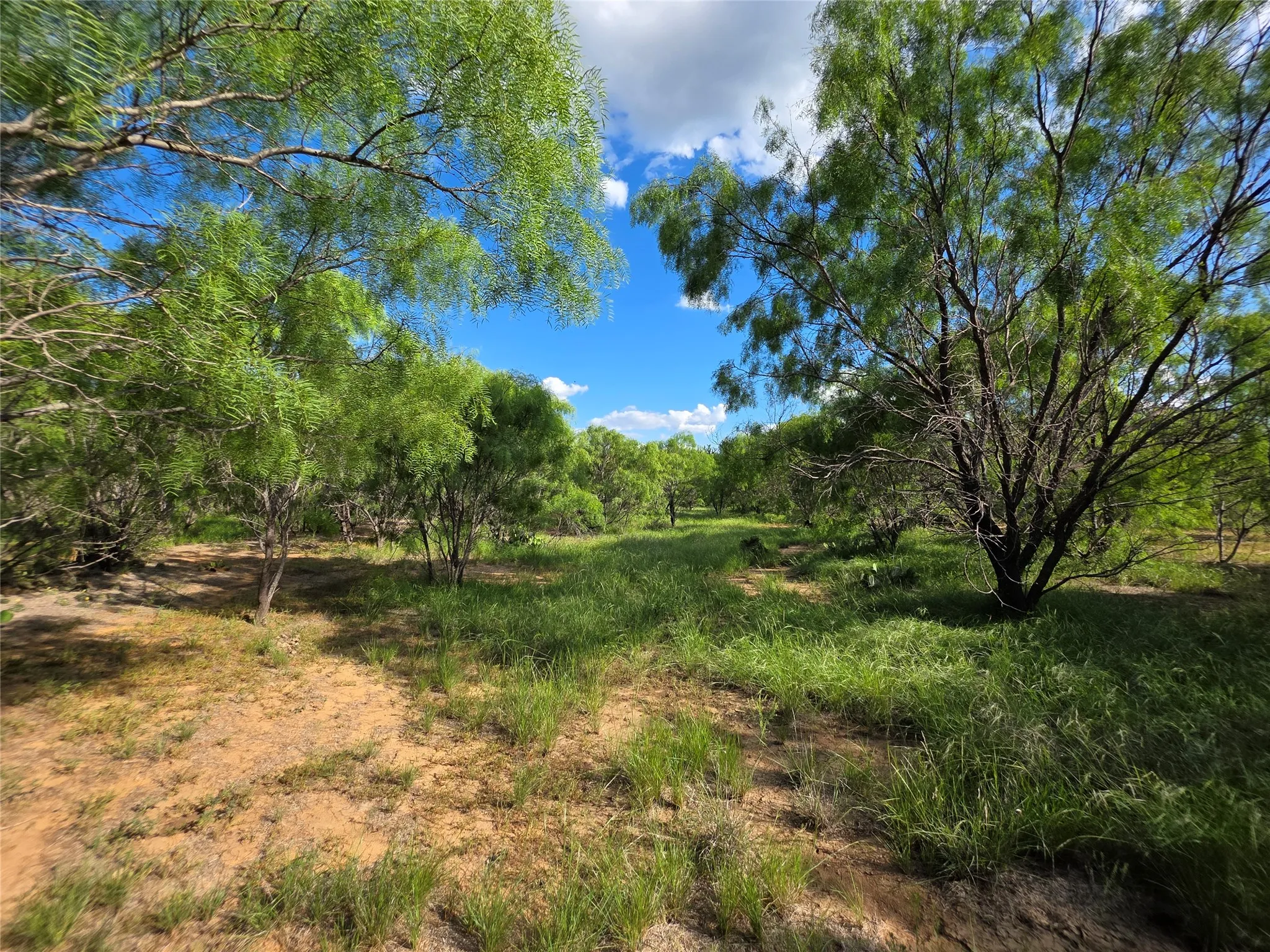 Ranch For Sale in Brown County , 3201 County Road 612, Bangs, Texas 76823, 0, 0, Garage spaces, 0 Sqft, built in 0, mls#21259981, Real Estate Agent in Bangs, Homes For Sale in Brown county, Homes For Sale in Bangs, Realtor in Bangs Texas, Real Estate Brokerage Independent Realty Texas, Luminita Cordes Realtor