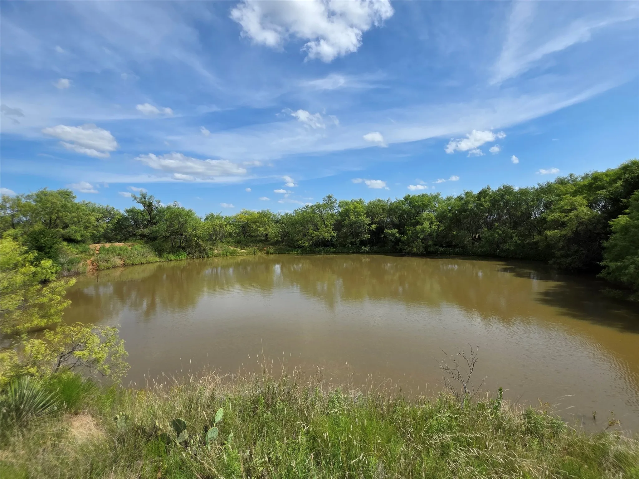 Ranch For Sale in Brown County , 3201 County Road 612, Bangs, Texas 76823, 0, 0, Garage spaces, 0 Sqft, built in 0, mls#21259981, Real Estate Agent in Bangs, Homes For Sale in Brown county, Homes For Sale in Bangs, Realtor in Bangs Texas, Real Estate Brokerage Independent Realty Texas, Luminita Cordes Realtor
