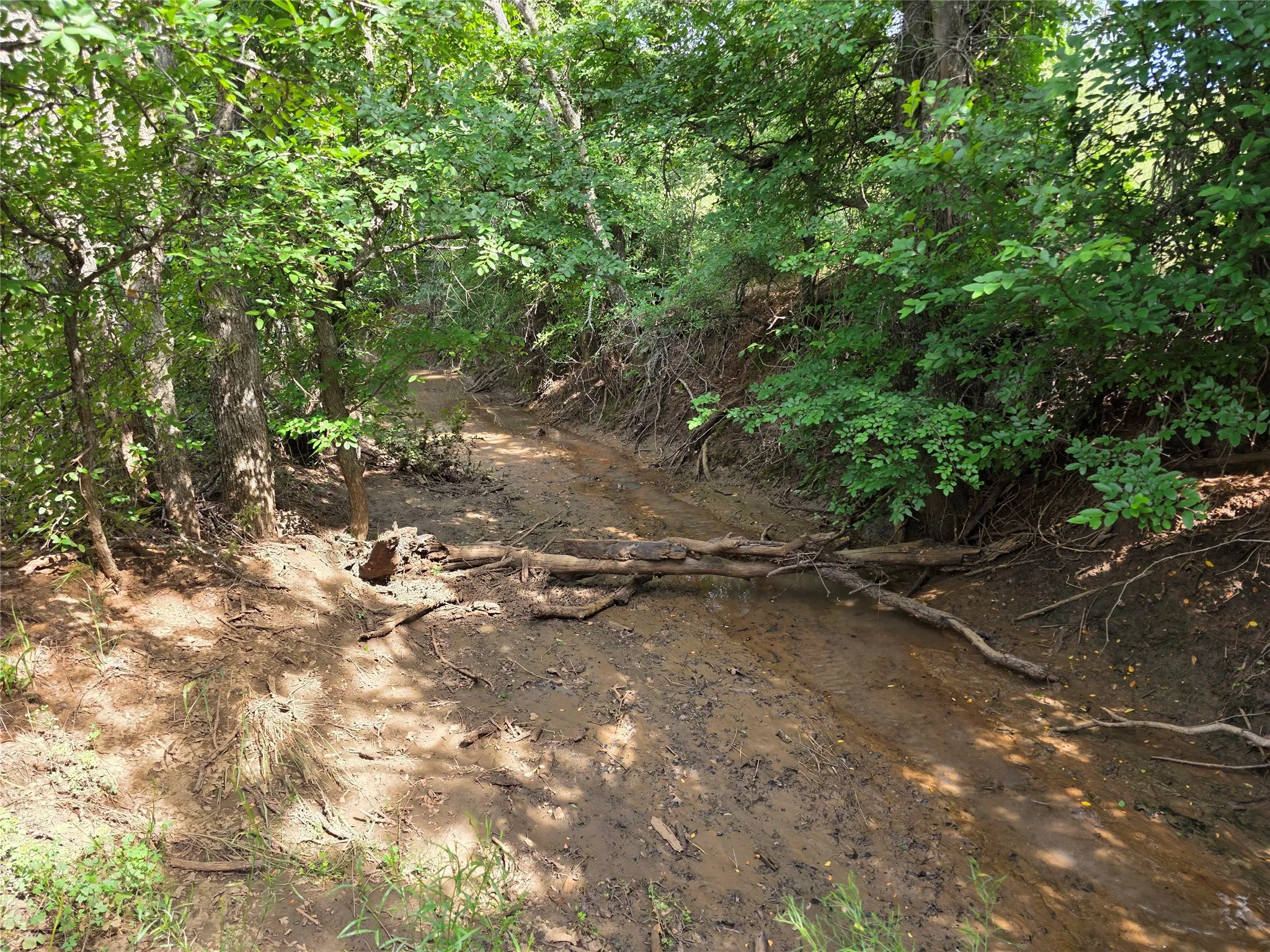 Ranch For Sale in Brown County , 3201 County Road 612, Bangs, Texas 76823, 0, 0, Garage spaces, 0 Sqft, built in 0, mls#21259981, Real Estate Agent in Bangs, Homes For Sale in Brown county, Homes For Sale in Bangs, Realtor in Bangs Texas, Real Estate Brokerage Independent Realty Texas, Luminita Cordes Realtor