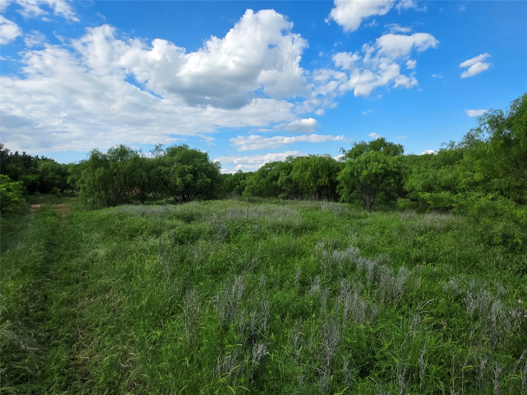 Ranch For Sale in Brown County , 3201 County Road 612, Bangs, Texas 76823, 0, 0, Garage spaces, 0 Sqft, built in 0, mls#21259981, Real Estate Agent in Bangs, Homes For Sale in Brown county, Homes For Sale in Bangs, Realtor in Bangs Texas, Real Estate Brokerage Independent Realty Texas, Luminita Cordes Realtor
