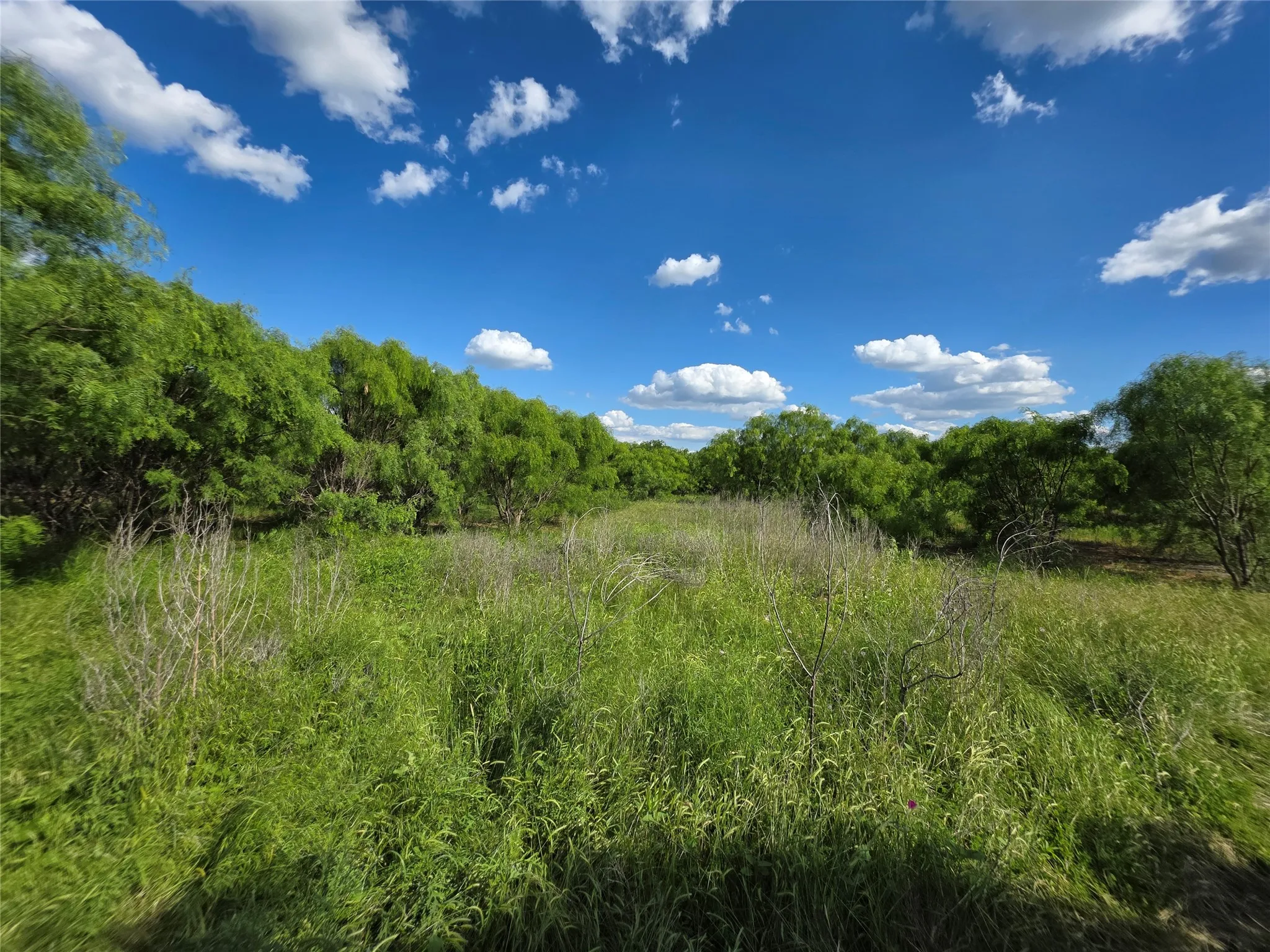 Ranch For Sale in Brown County , 3201 County Road 612, Bangs, Texas 76823, 0, 0, Garage spaces, 0 Sqft, built in 0, mls#21259981, Real Estate Agent in Bangs, Homes For Sale in Brown county, Homes For Sale in Bangs, Realtor in Bangs Texas, Real Estate Brokerage Independent Realty Texas, Luminita Cordes Realtor