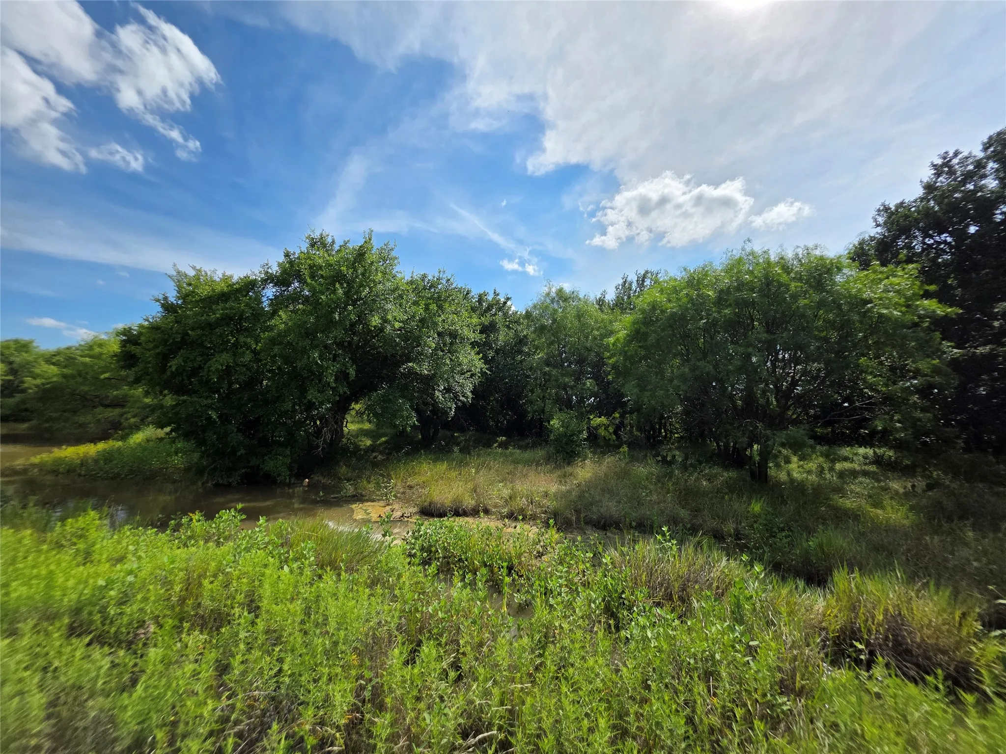 Ranch For Sale in Brown County , 3201 County Road 612, Bangs, Texas 76823, 0, 0, Garage spaces, 0 Sqft, built in 0, mls#21259981, Real Estate Agent in Bangs, Homes For Sale in Brown county, Homes For Sale in Bangs, Realtor in Bangs Texas, Real Estate Brokerage Independent Realty Texas, Luminita Cordes Realtor