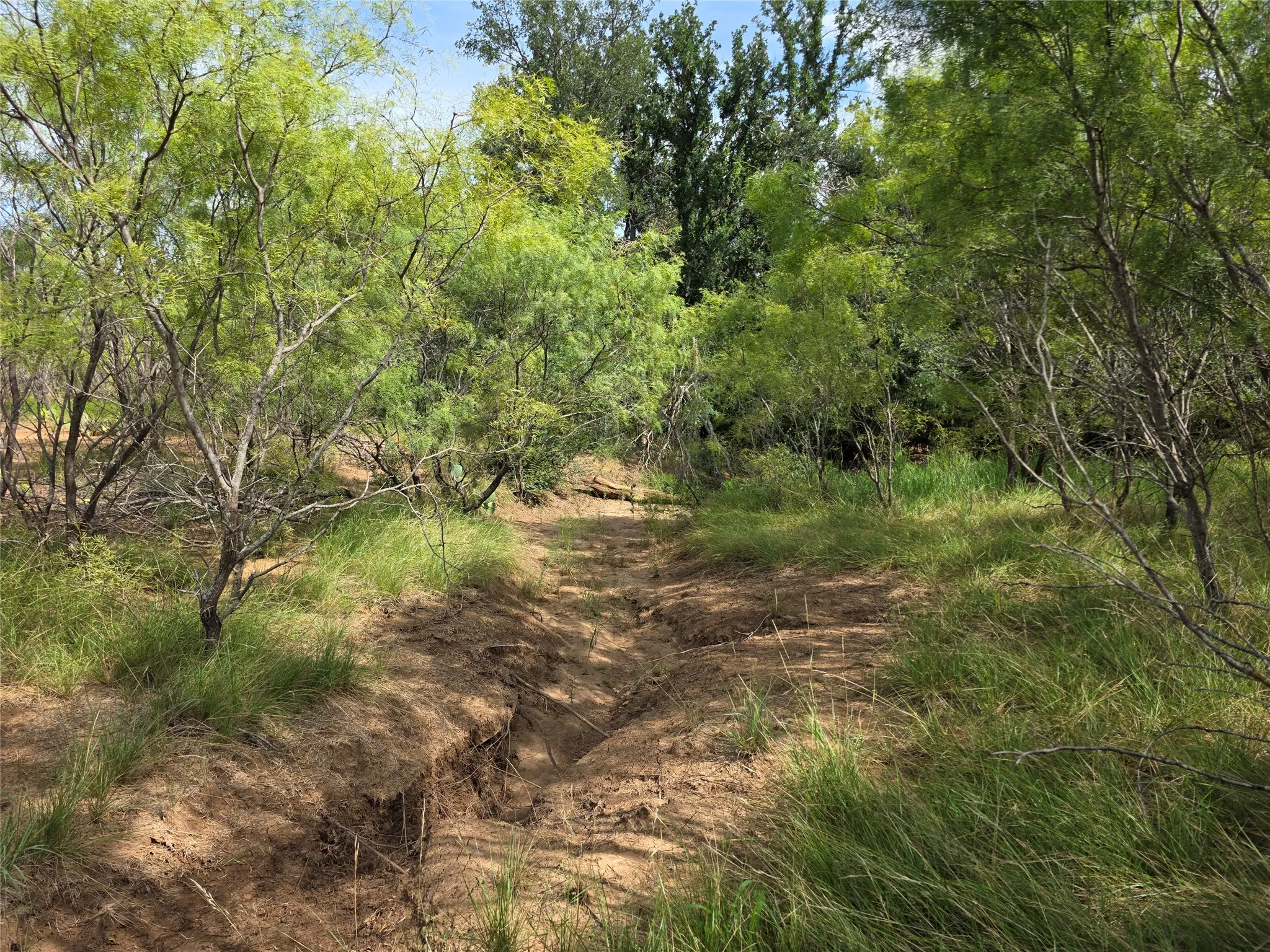 Ranch For Sale in Brown County , 3201 County Road 612, Bangs, Texas 76823, 0, 0, Garage spaces, 0 Sqft, built in 0, mls#21259981, Real Estate Agent in Bangs, Homes For Sale in Brown county, Homes For Sale in Bangs, Realtor in Bangs Texas, Real Estate Brokerage Independent Realty Texas, Luminita Cordes Realtor