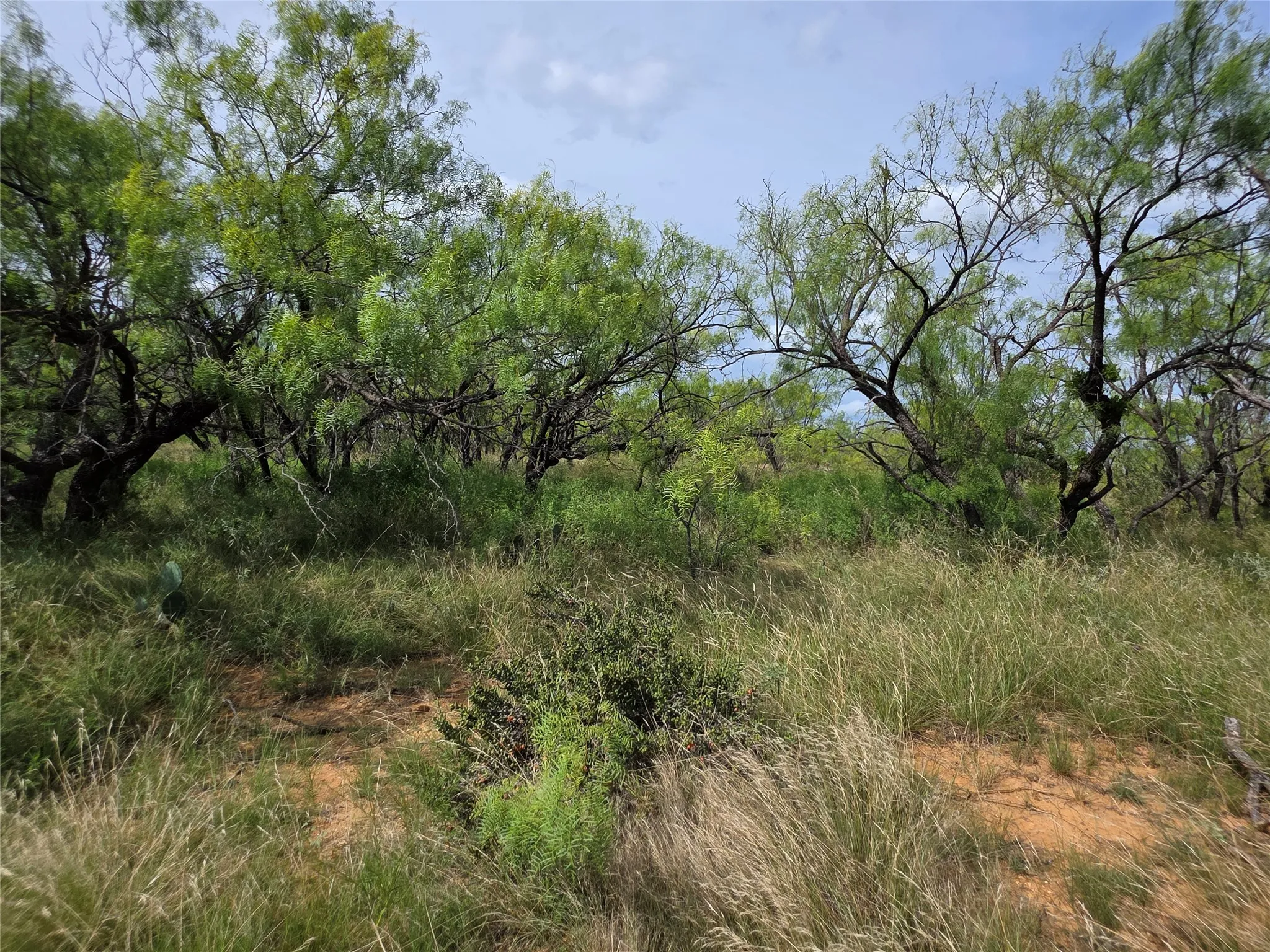 Ranch For Sale in Brown County , 3201 County Road 612, Bangs, Texas 76823, 0, 0, Garage spaces, 0 Sqft, built in 0, mls#21259981, Real Estate Agent in Bangs, Homes For Sale in Brown county, Homes For Sale in Bangs, Realtor in Bangs Texas, Real Estate Brokerage Independent Realty Texas, Luminita Cordes Realtor