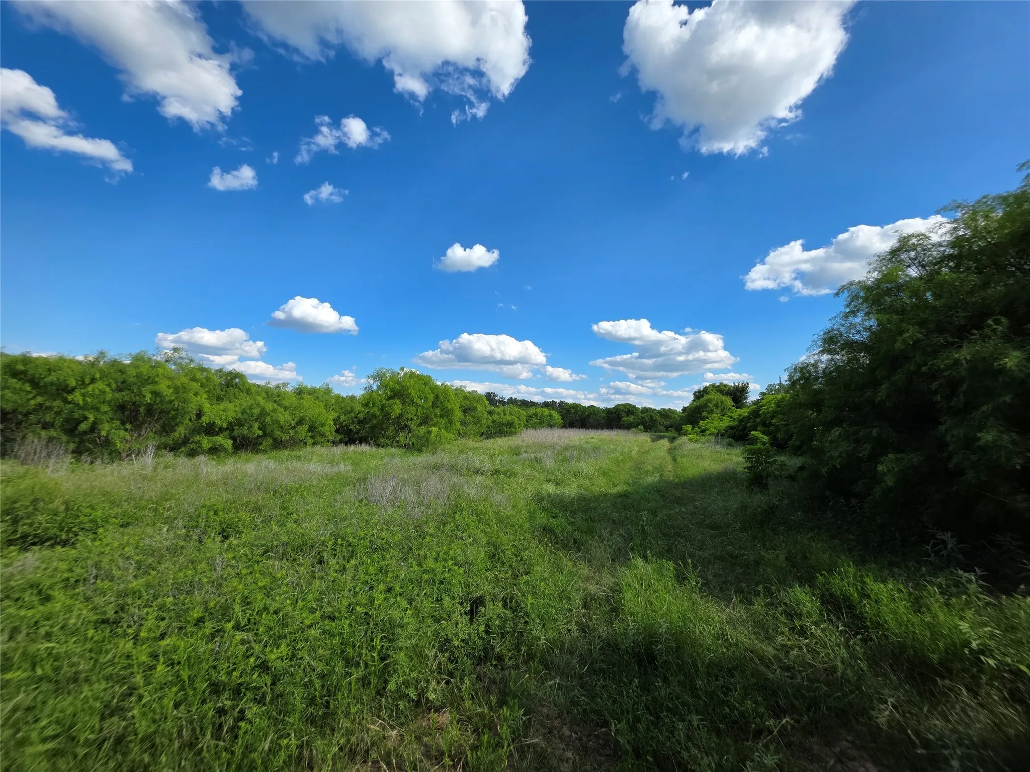 Ranch For Sale in Brown County , 3201 County Road 612, Bangs, Texas 76823, 0, 0, Garage spaces, 0 Sqft, built in 0, mls#21259981, Real Estate Agent in Bangs, Homes For Sale in Brown county, Homes For Sale in Bangs, Realtor in Bangs Texas, Real Estate Brokerage Independent Realty Texas, Luminita Cordes Realtor