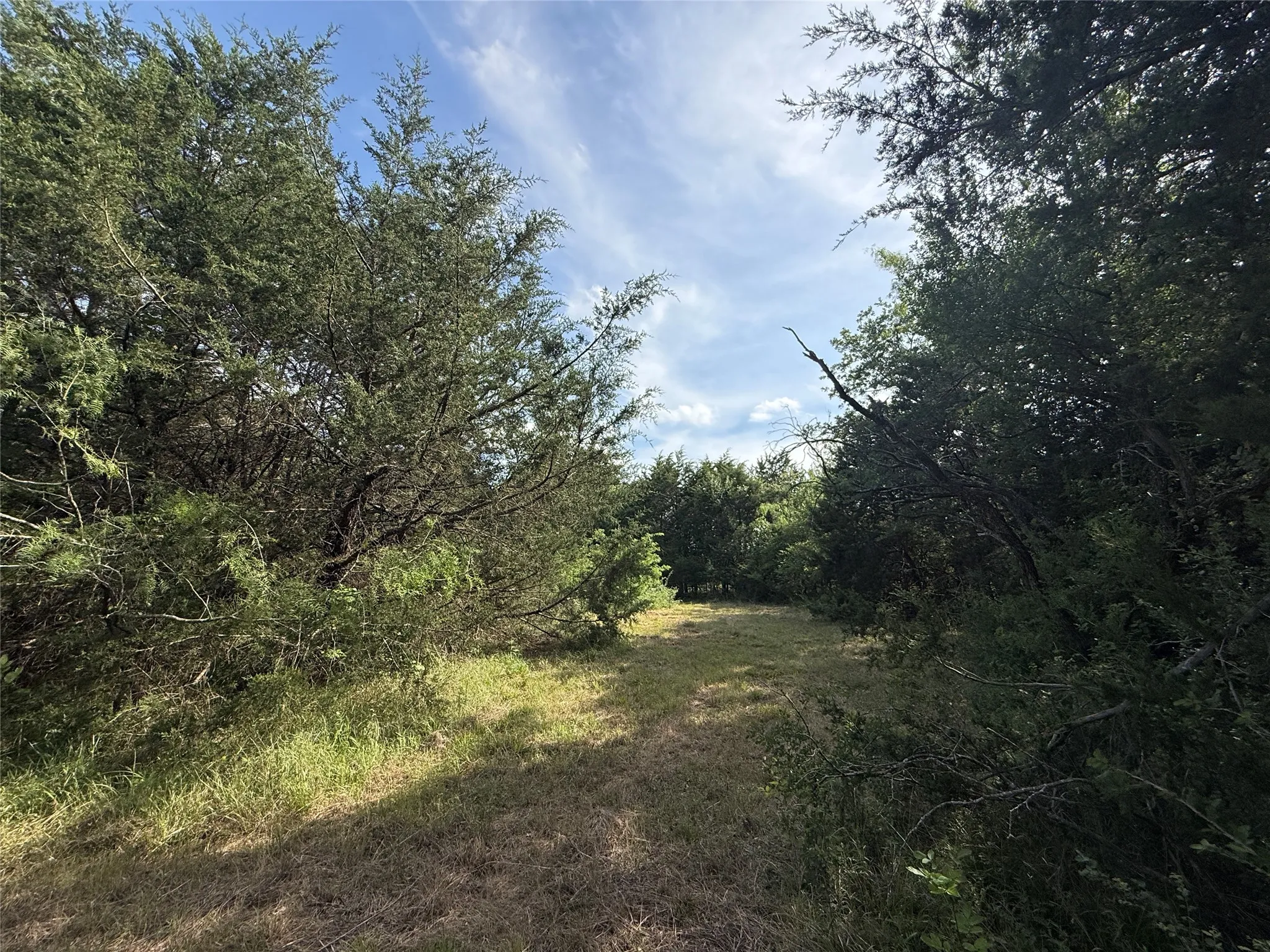 Unimproved Land For Sale in Navarro County , Lot 15R-2 Hout Bay Road, Streetman, Texas 75859, 0, 0, Garage spaces, 0 Sqft, built in 0, Price $40,000, mls#21254737, Real Estate Agent in Streetman, Homes For Sale in Navarro county, Homes For Sale in Streetman, Realtor in Streetman Texas, Real Estate Brokerage Independent Realty Texas, Luminita Cordes Realtor