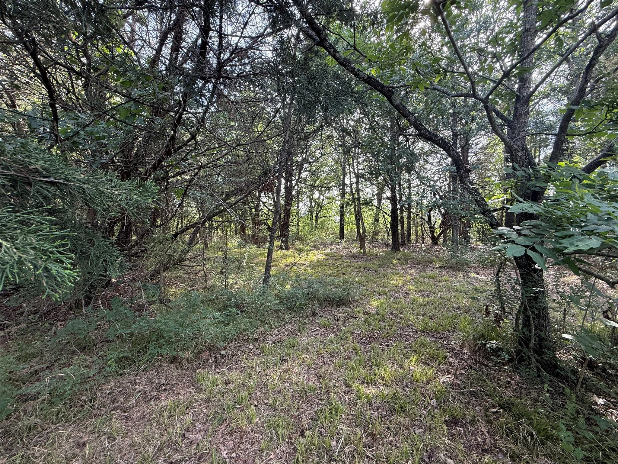 Unimproved Land For Sale in Navarro County , Lot 15R-2 Hout Bay Road, Streetman, Texas 75859, 0, 0, Garage spaces, 0 Sqft, built in 0, Price $40,000, mls#21254737, Real Estate Agent in Streetman, Homes For Sale in Navarro county, Homes For Sale in Streetman, Realtor in Streetman Texas, Real Estate Brokerage Independent Realty Texas, Luminita Cordes Realtor