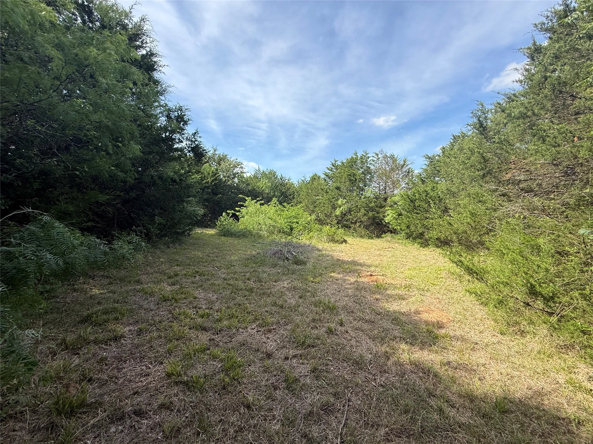 Unimproved Land For Sale in Navarro County , Lot 15R-2 Hout Bay Road, Streetman, Texas 75859, 0, 0, Garage spaces, 0 Sqft, built in 0, Price $40,000, mls#21254737, Real Estate Agent in Streetman, Homes For Sale in Navarro county, Homes For Sale in Streetman, Realtor in Streetman Texas, Real Estate Brokerage Independent Realty Texas, Luminita Cordes Realtor