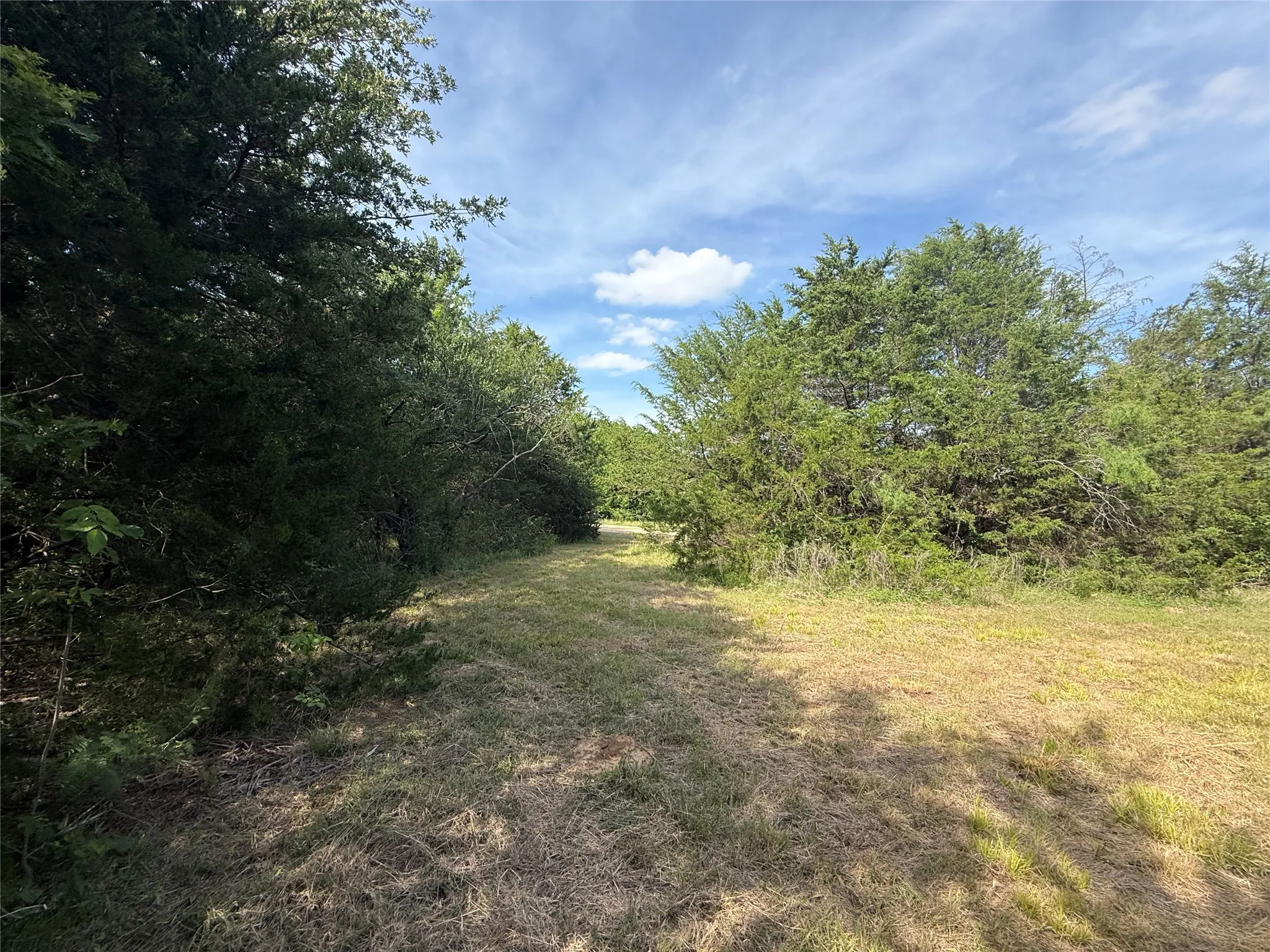 Unimproved Land For Sale in Navarro County , Lot 15R-2 Hout Bay Road, Streetman, Texas 75859, 0, 0, Garage spaces, 0 Sqft, built in 0, Price $40,000, mls#21254737, Real Estate Agent in Streetman, Homes For Sale in Navarro county, Homes For Sale in Streetman, Realtor in Streetman Texas, Real Estate Brokerage Independent Realty Texas, Luminita Cordes Realtor