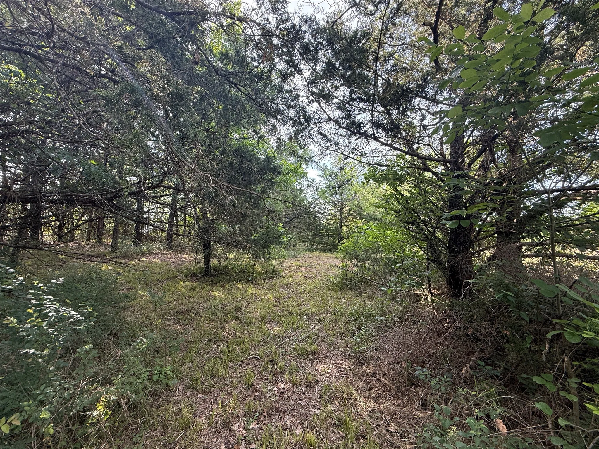 Unimproved Land For Sale in Navarro County , Lot 15R-2 Hout Bay Road, Streetman, Texas 75859, 0, 0, Garage spaces, 0 Sqft, built in 0, Price $40,000, mls#21254737, Real Estate Agent in Streetman, Homes For Sale in Navarro county, Homes For Sale in Streetman, Realtor in Streetman Texas, Real Estate Brokerage Independent Realty Texas, Luminita Cordes Realtor