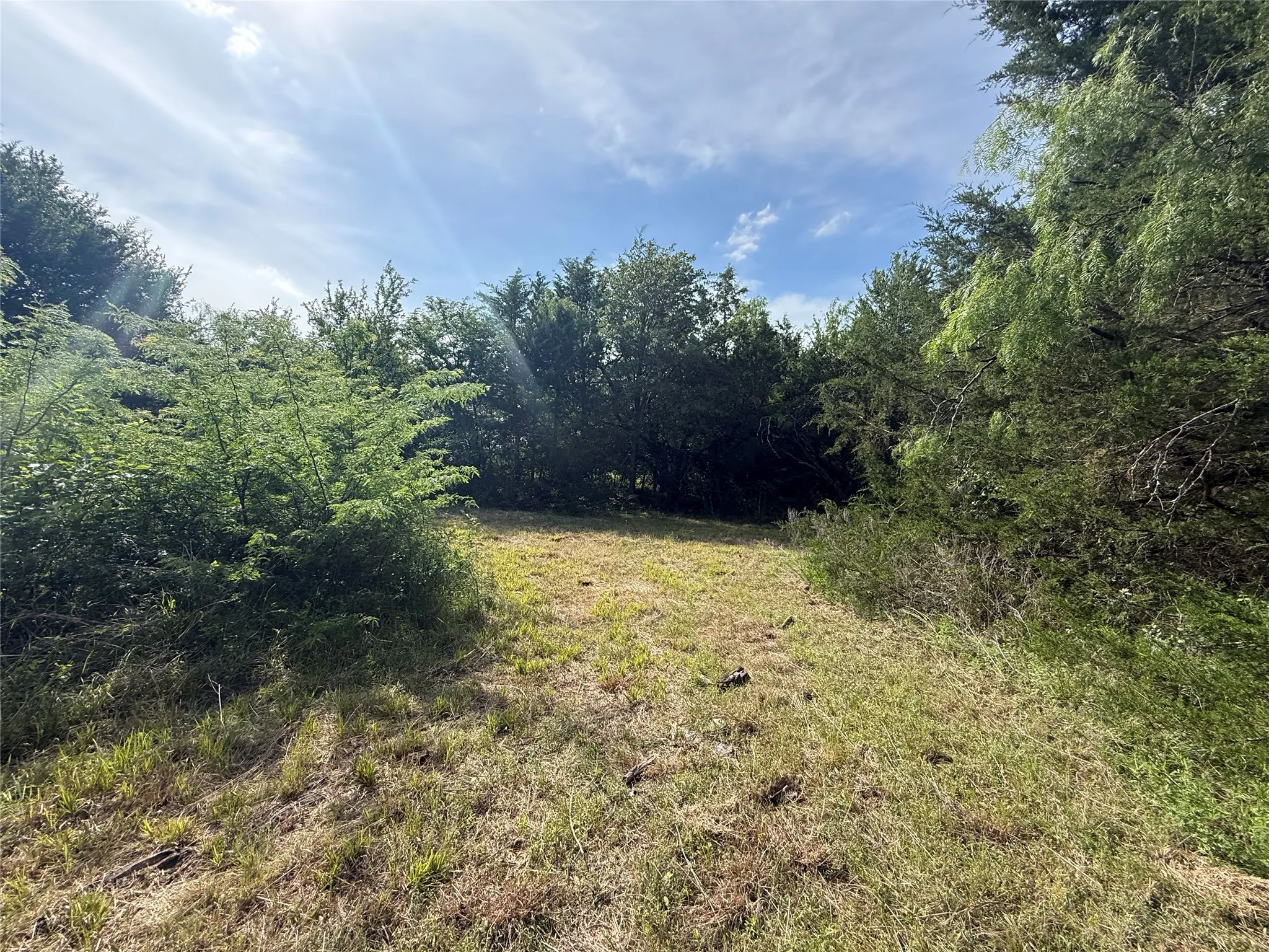Unimproved Land For Sale in Navarro County , Lot 15R-2 Hout Bay Road, Streetman, Texas 75859, 0, 0, Garage spaces, 0 Sqft, built in 0, Price $40,000, mls#21254737, Real Estate Agent in Streetman, Homes For Sale in Navarro county, Homes For Sale in Streetman, Realtor in Streetman Texas, Real Estate Brokerage Independent Realty Texas, Luminita Cordes Realtor