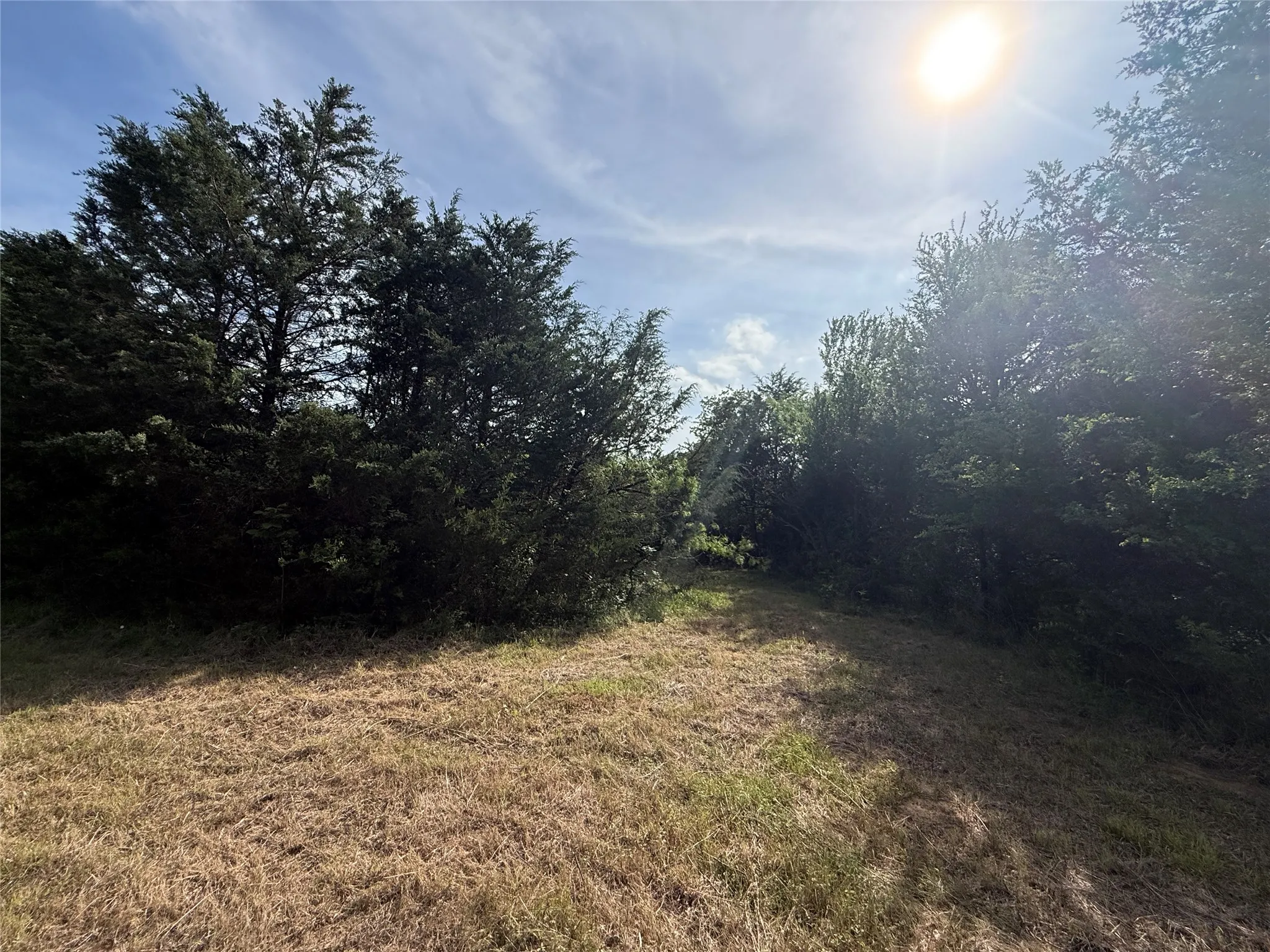 Unimproved Land For Sale in Navarro County , Lot 15R-2 Hout Bay Road, Streetman, Texas 75859, 0, 0, Garage spaces, 0 Sqft, built in 0, Price $40,000, mls#21254737, Real Estate Agent in Streetman, Homes For Sale in Navarro county, Homes For Sale in Streetman, Realtor in Streetman Texas, Real Estate Brokerage Independent Realty Texas, Luminita Cordes Realtor