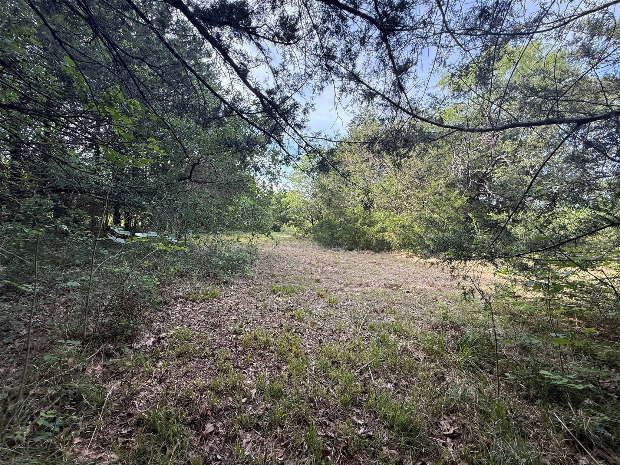 Unimproved Land For Sale in Navarro County , Lot 15R-2 Hout Bay Road, Streetman, Texas 75859, 0, 0, Garage spaces, 0 Sqft, built in 0, Price $40,000, mls#21254737, Real Estate Agent in Streetman, Homes For Sale in Navarro county, Homes For Sale in Streetman, Realtor in Streetman Texas, Real Estate Brokerage Independent Realty Texas, Luminita Cordes Realtor