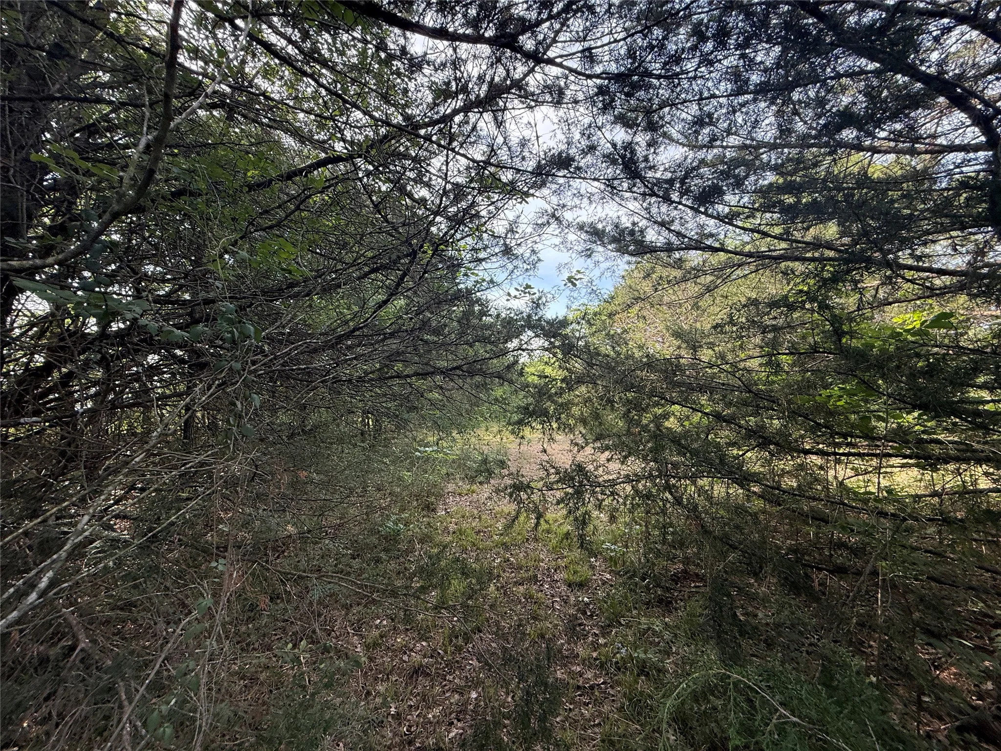 Unimproved Land For Sale in Navarro County , Lot 15R-2 Hout Bay Road, Streetman, Texas 75859, 0, 0, Garage spaces, 0 Sqft, built in 0, Price $40,000, mls#21254737, Real Estate Agent in Streetman, Homes For Sale in Navarro county, Homes For Sale in Streetman, Realtor in Streetman Texas, Real Estate Brokerage Independent Realty Texas, Luminita Cordes Realtor
