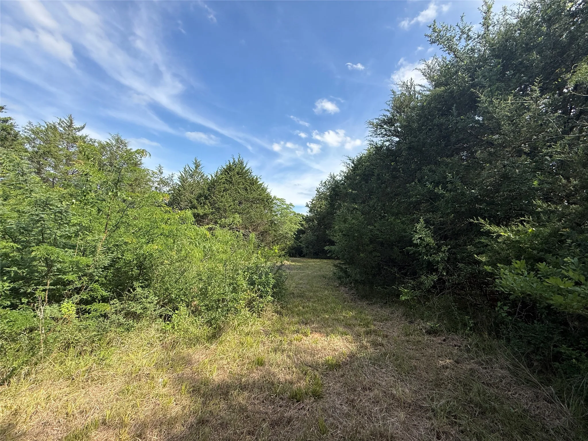 Unimproved Land For Sale in Navarro County , Lot 15R-2 Hout Bay Road, Streetman, Texas 75859, 0, 0, Garage spaces, 0 Sqft, built in 0, Price $40,000, mls#21254737, Real Estate Agent in Streetman, Homes For Sale in Navarro county, Homes For Sale in Streetman, Realtor in Streetman Texas, Real Estate Brokerage Independent Realty Texas, Luminita Cordes Realtor
