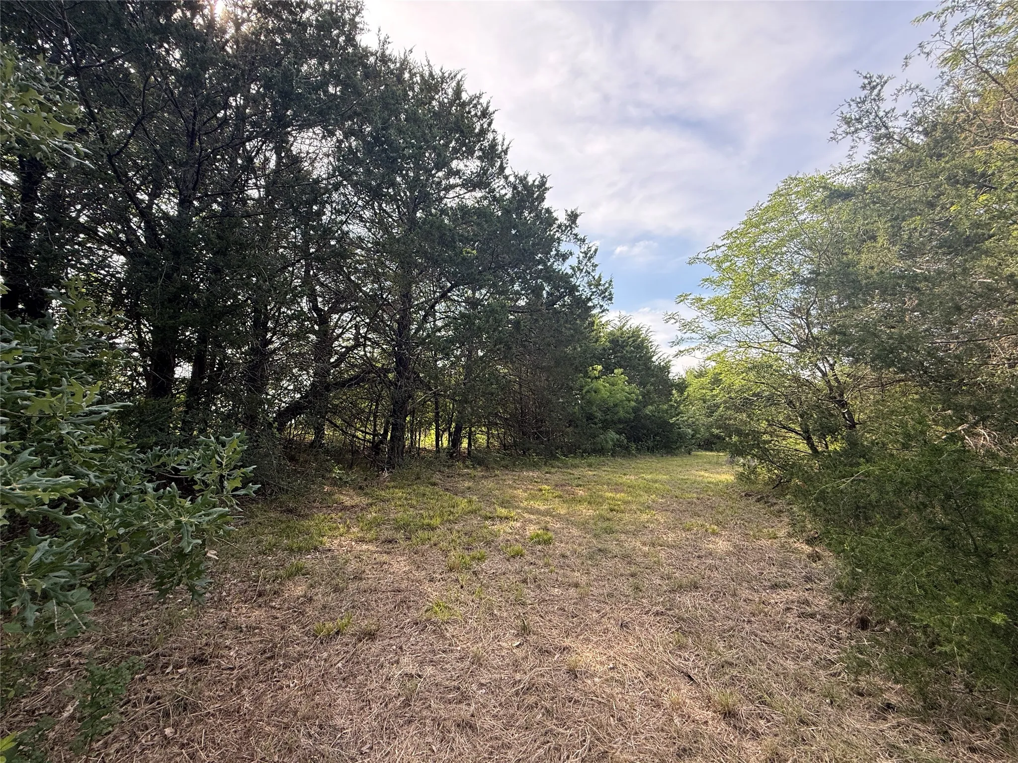 Unimproved Land For Sale in Navarro County , Lot 15R-2 Hout Bay Road, Streetman, Texas 75859, 0, 0, Garage spaces, 0 Sqft, built in 0, Price $40,000, mls#21254737, Real Estate Agent in Streetman, Homes For Sale in Navarro county, Homes For Sale in Streetman, Realtor in Streetman Texas, Real Estate Brokerage Independent Realty Texas, Luminita Cordes Realtor