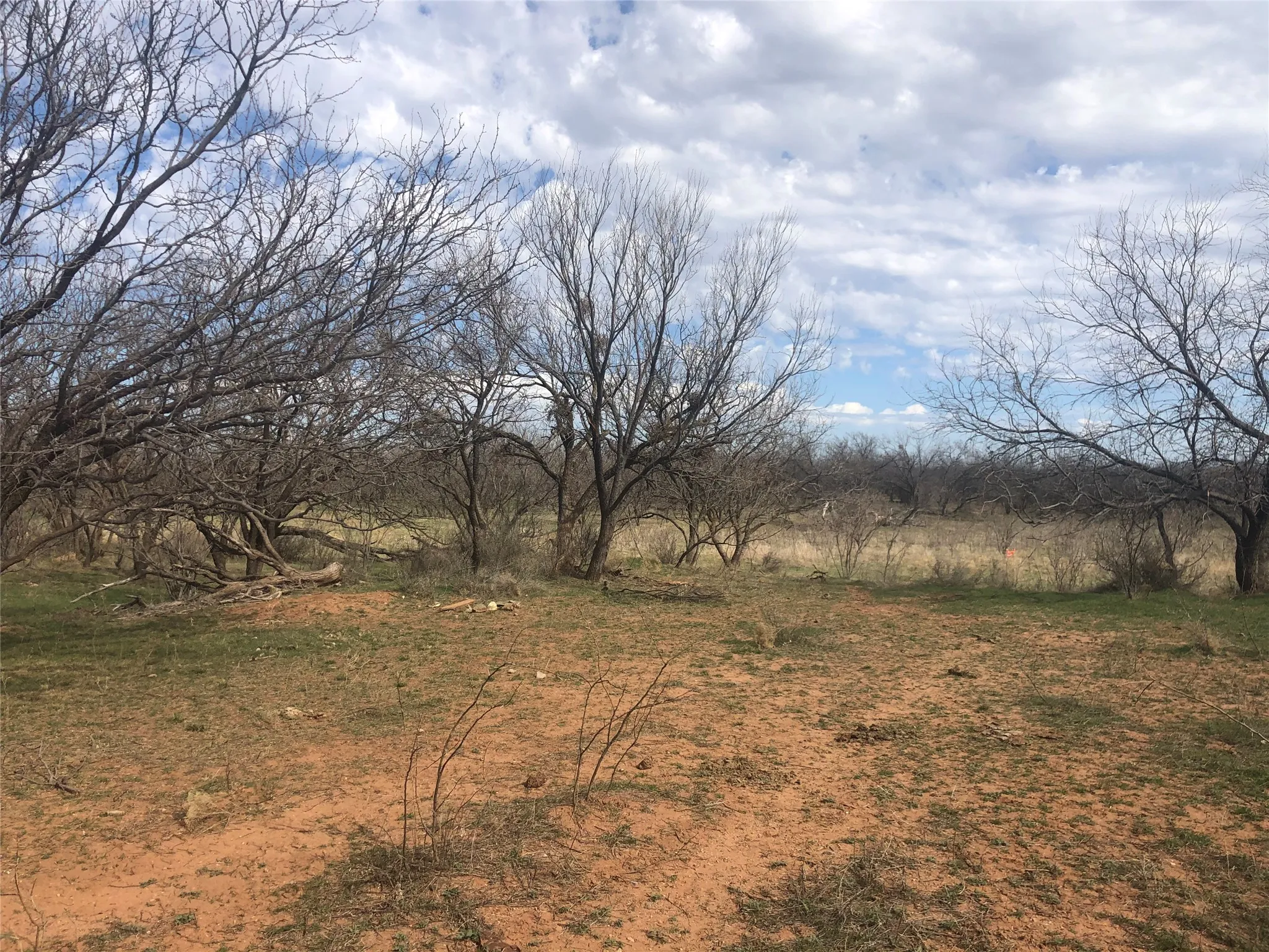 Ranch For Sale in Taylor County , 90 Acres TBD Bacacita Farms Road, Abilene, Texas 79602, 0, 0, Garage spaces, 0 Sqft, built in 0, mls#21259999, Real Estate Agent in Abilene, Homes For Sale in Taylor county, Homes For Sale in Abilene, Realtor in Abilene Texas, Real Estate Brokerage Independent Realty Texas, Luminita Cordes Realtor