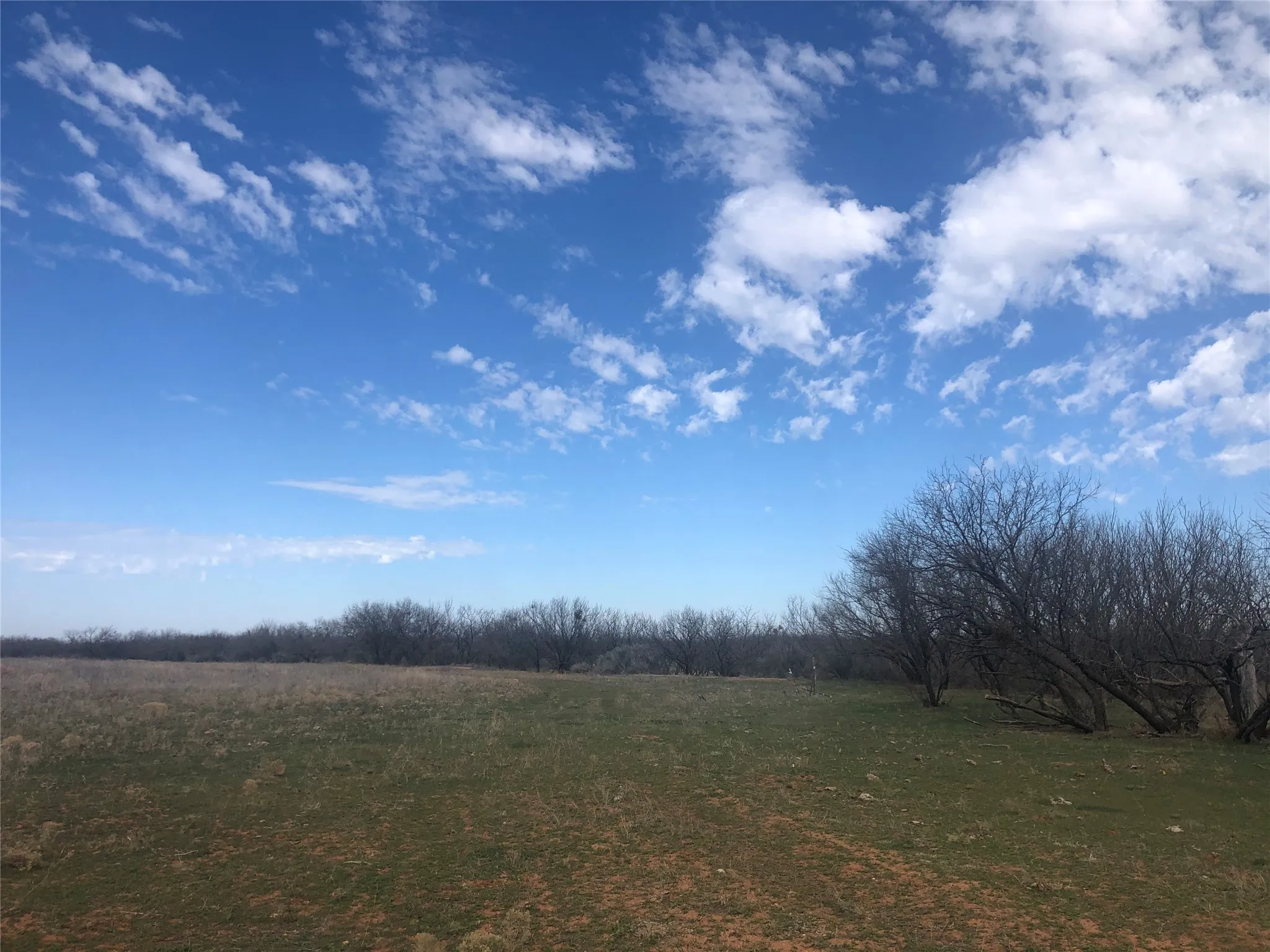Ranch For Sale in Taylor County , 90 Acres TBD Bacacita Farms Road, Abilene, Texas 79602, 0, 0, Garage spaces, 0 Sqft, built in 0, mls#21259999, Real Estate Agent in Abilene, Homes For Sale in Taylor county, Homes For Sale in Abilene, Realtor in Abilene Texas, Real Estate Brokerage Independent Realty Texas, Luminita Cordes Realtor
