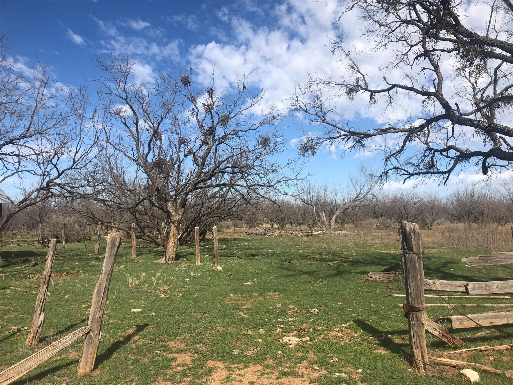 Ranch For Sale in Taylor County , 90 Acres TBD Bacacita Farms Road, Abilene, Texas 79602, 0, 0, Garage spaces, 0 Sqft, built in 0, mls#21259999, Real Estate Agent in Abilene, Homes For Sale in Taylor county, Homes For Sale in Abilene, Realtor in Abilene Texas, Real Estate Brokerage Independent Realty Texas, Luminita Cordes Realtor