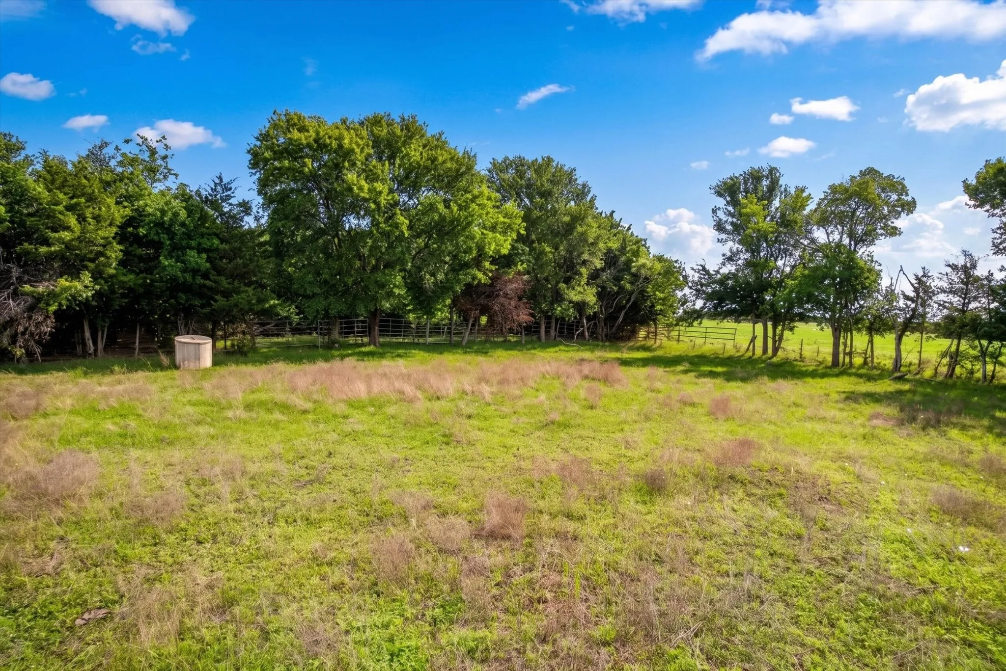 Unimproved Land For Sale in Fannin County , 14991 CR 1100, Blue Ridge, Texas 75424, 0, 0, Garage spaces, 0 Sqft, built in 0, mls#21260042, Real Estate Agent in Blue Ridge, Homes For Sale in Fannin county, Homes For Sale in Blue Ridge, Realtor in Blue Ridge Texas, Real Estate Brokerage Independent Realty Texas, Luminita Cordes Realtor