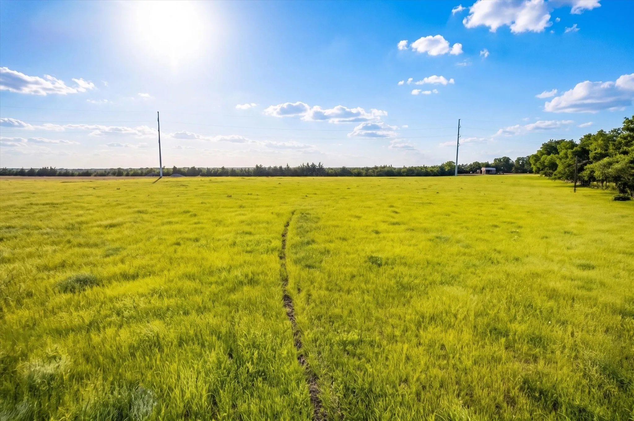 Unimproved Land For Sale in Fannin County , 14991 CR 1100, Blue Ridge, Texas 75424, 0, 0, Garage spaces, 0 Sqft, built in 0, mls#21260042, Real Estate Agent in Blue Ridge, Homes For Sale in Fannin county, Homes For Sale in Blue Ridge, Realtor in Blue Ridge Texas, Real Estate Brokerage Independent Realty Texas, Luminita Cordes Realtor