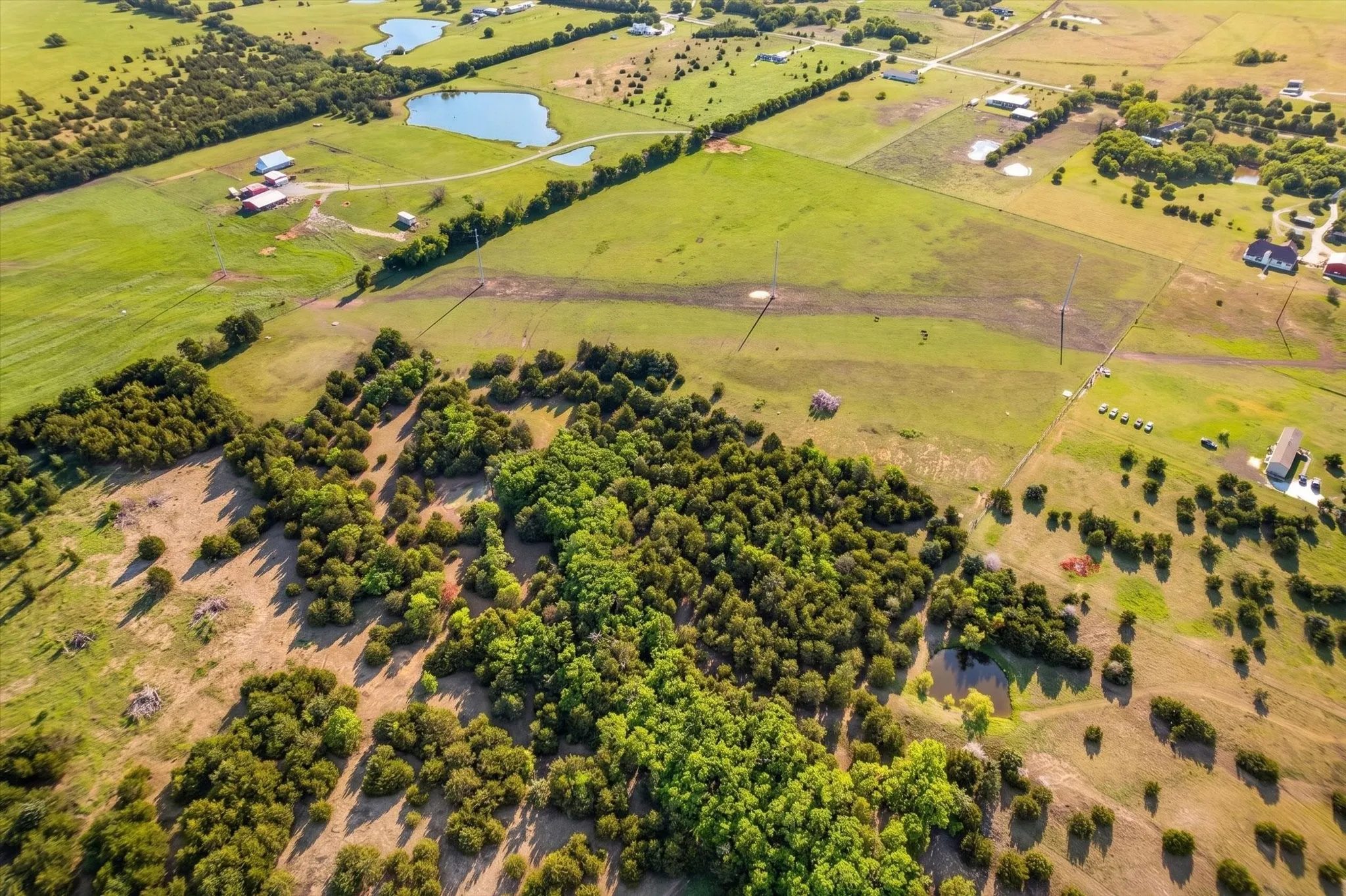 Unimproved Land For Sale in Fannin County , 14991 CR 1100, Blue Ridge, Texas 75424, 0, 0, Garage spaces, 0 Sqft, built in 0, mls#21260042, Real Estate Agent in Blue Ridge, Homes For Sale in Fannin county, Homes For Sale in Blue Ridge, Realtor in Blue Ridge Texas, Real Estate Brokerage Independent Realty Texas, Luminita Cordes Realtor