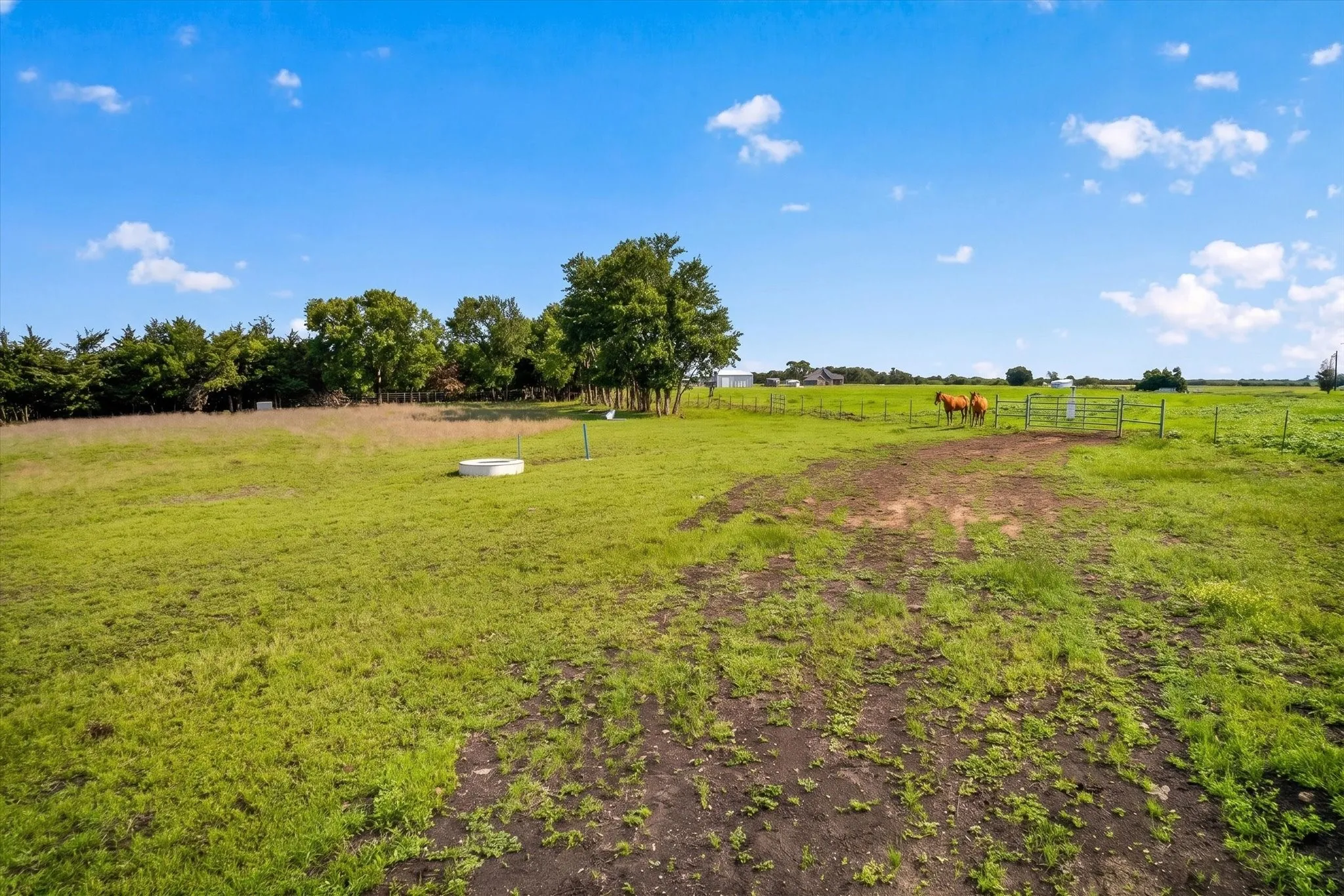 Unimproved Land For Sale in Fannin County , 14991 CR 1100, Blue Ridge, Texas 75424, 0, 0, Garage spaces, 0 Sqft, built in 0, mls#21260042, Real Estate Agent in Blue Ridge, Homes For Sale in Fannin county, Homes For Sale in Blue Ridge, Realtor in Blue Ridge Texas, Real Estate Brokerage Independent Realty Texas, Luminita Cordes Realtor