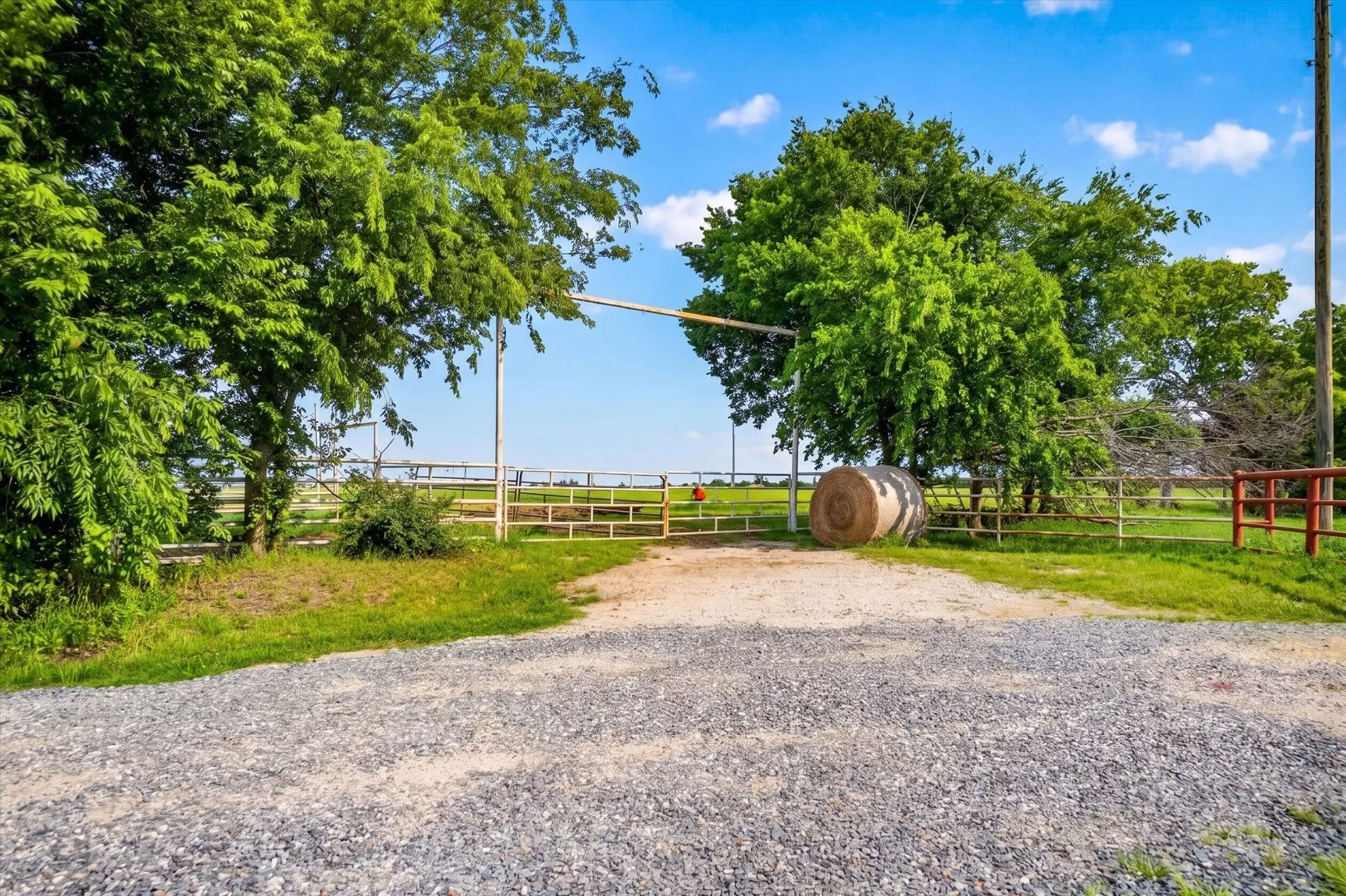 Unimproved Land For Sale in Fannin County , 14991 CR 1100, Blue Ridge, Texas 75424, 0, 0, Garage spaces, 0 Sqft, built in 0, mls#21260042, Real Estate Agent in Blue Ridge, Homes For Sale in Fannin county, Homes For Sale in Blue Ridge, Realtor in Blue Ridge Texas, Real Estate Brokerage Independent Realty Texas, Luminita Cordes Realtor
