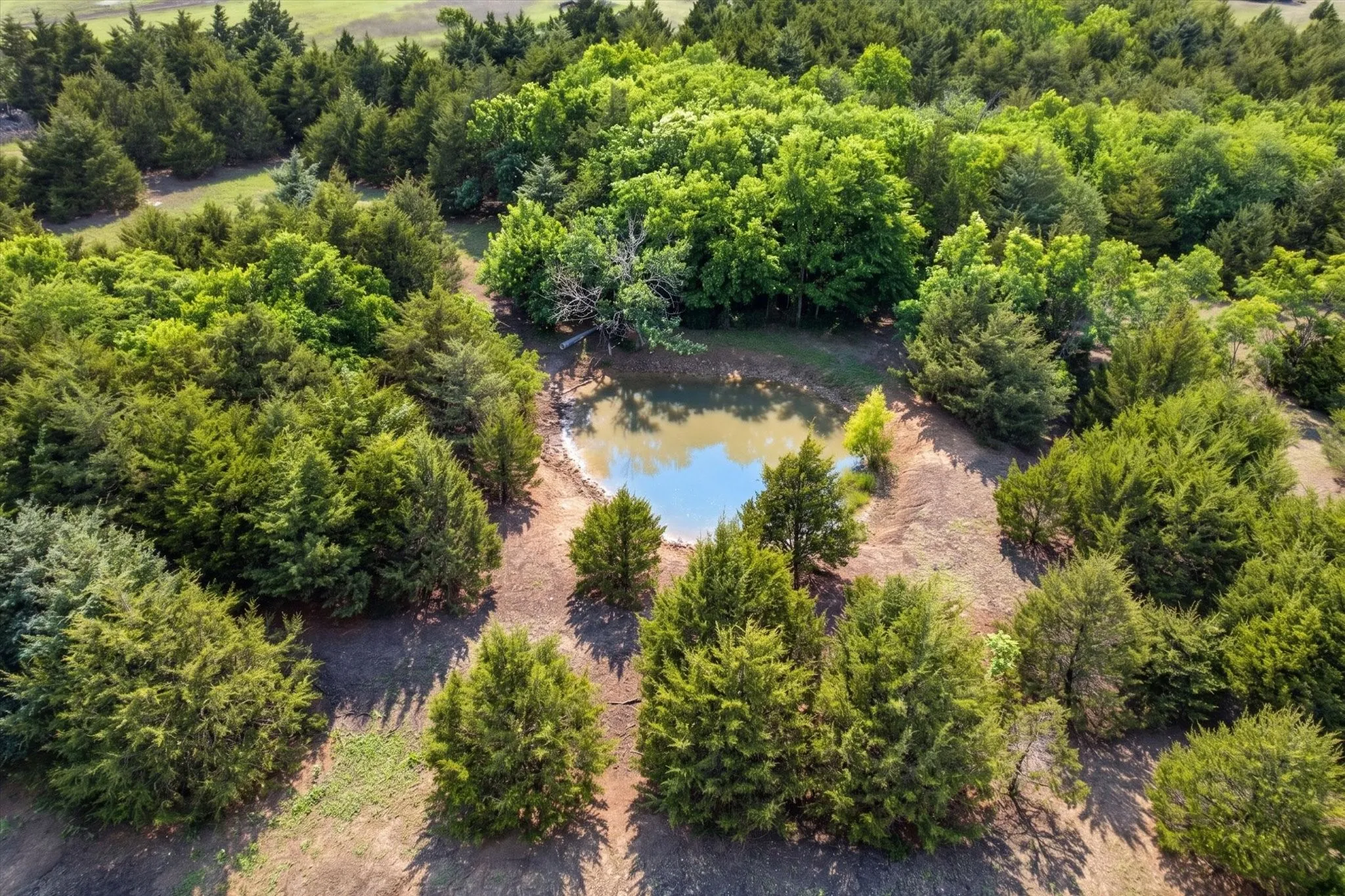 Unimproved Land For Sale in Fannin County , 14991 CR 1100, Blue Ridge, Texas 75424, 0, 0, Garage spaces, 0 Sqft, built in 0, mls#21260042, Real Estate Agent in Blue Ridge, Homes For Sale in Fannin county, Homes For Sale in Blue Ridge, Realtor in Blue Ridge Texas, Real Estate Brokerage Independent Realty Texas, Luminita Cordes Realtor