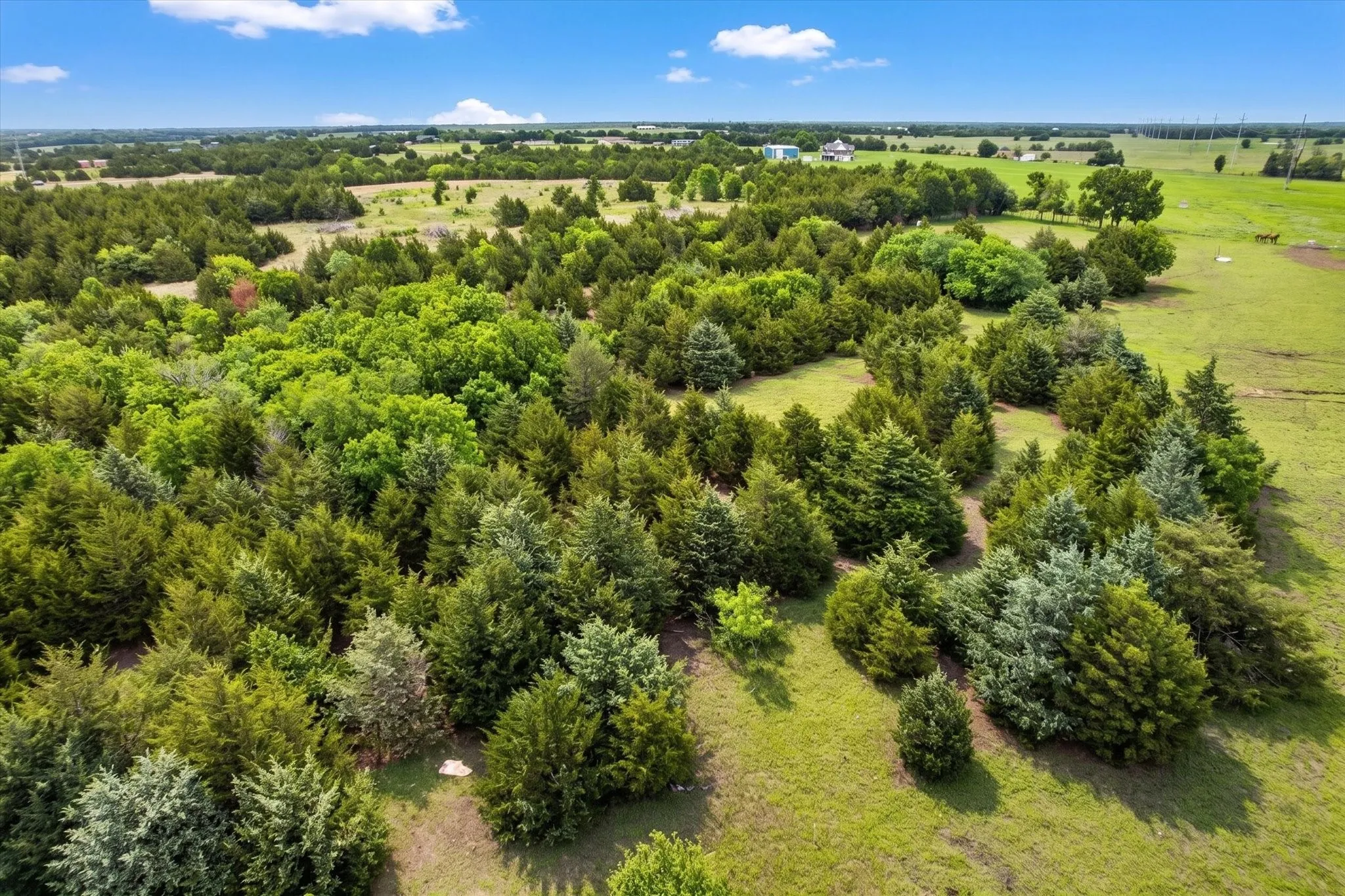 Unimproved Land For Sale in Fannin County , 14991 CR 1100, Blue Ridge, Texas 75424, 0, 0, Garage spaces, 0 Sqft, built in 0, mls#21260042, Real Estate Agent in Blue Ridge, Homes For Sale in Fannin county, Homes For Sale in Blue Ridge, Realtor in Blue Ridge Texas, Real Estate Brokerage Independent Realty Texas, Luminita Cordes Realtor