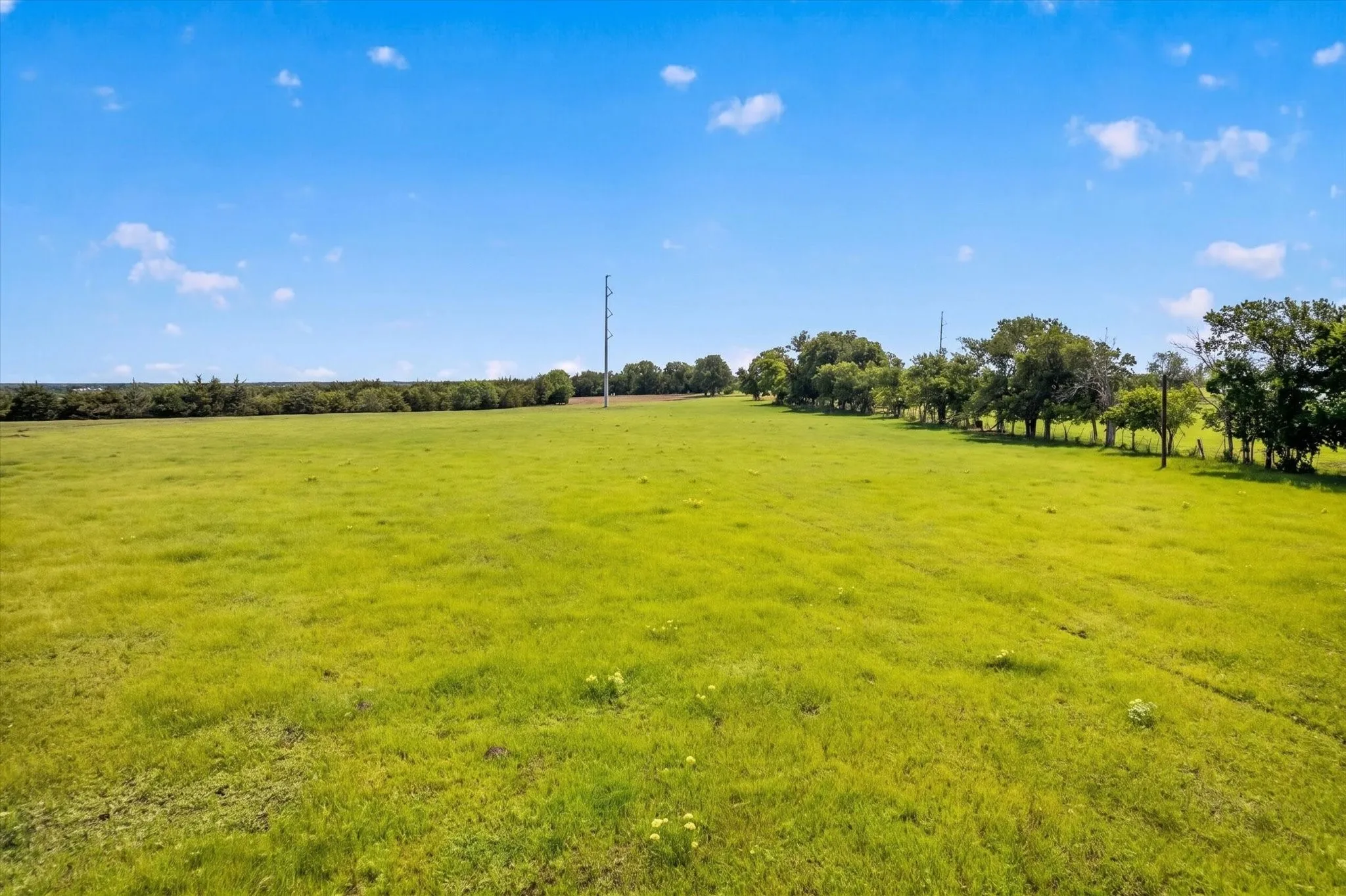 Unimproved Land For Sale in Fannin County , 14991 CR 1100, Blue Ridge, Texas 75424, 0, 0, Garage spaces, 0 Sqft, built in 0, mls#21260042, Real Estate Agent in Blue Ridge, Homes For Sale in Fannin county, Homes For Sale in Blue Ridge, Realtor in Blue Ridge Texas, Real Estate Brokerage Independent Realty Texas, Luminita Cordes Realtor