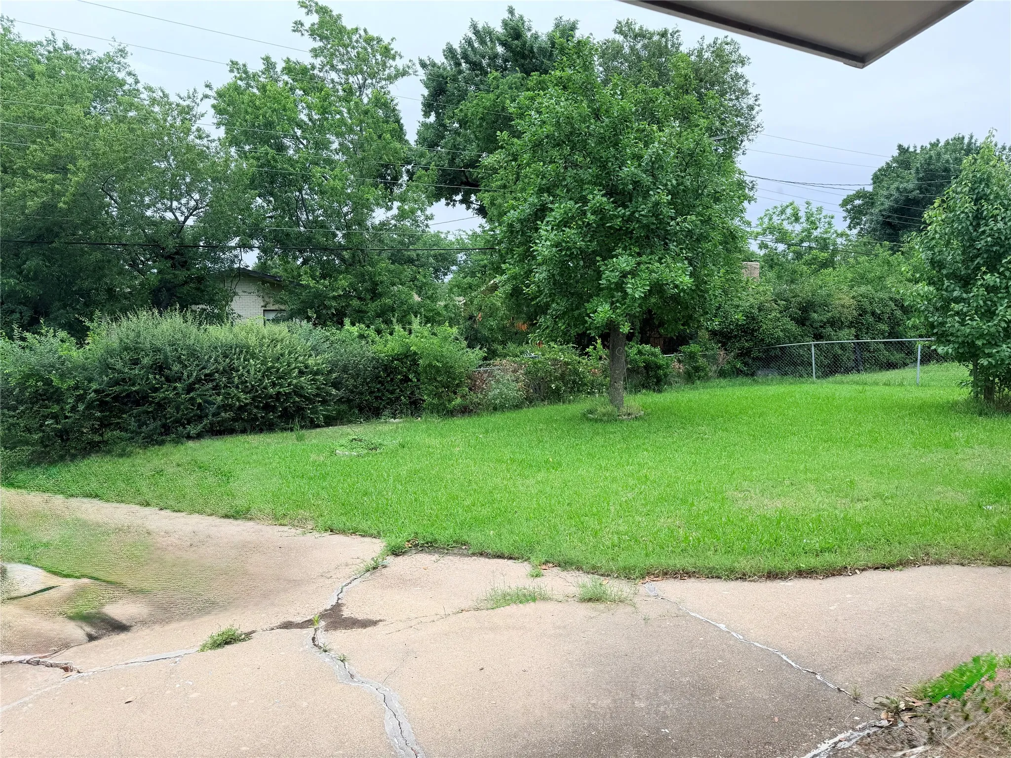 Expansive backyard featuring a lush lawn, mature trees, and established perimeter hedging