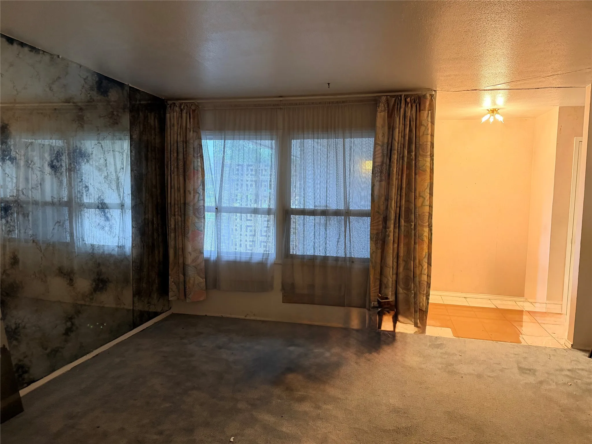 Carpeted interior space featuring a large window with sheer and patterned drapes, and a decorative wall treatment with a mottled design