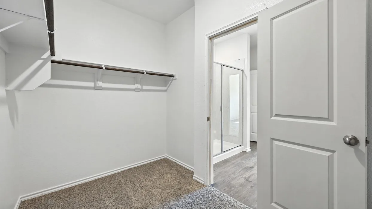 Walk-in closet featuring carpet flooring, built-in shelving, and a hanging rod