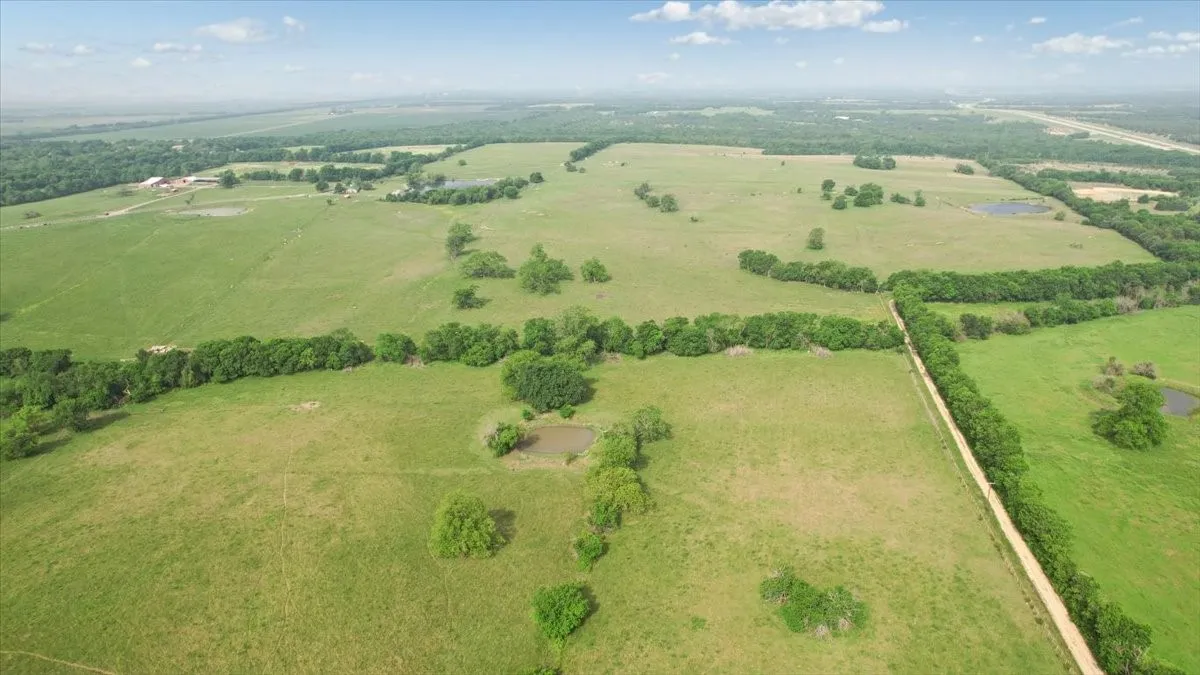 Unimproved Land For Sale in Fannin County , TBD N Fm 100, Honey Grove, Texas 75446, 0, 0, Garage spaces, 0 Sqft, built in 0, Price $3,400,000, mls#21245961, Real Estate Agent in Honey Grove, Homes For Sale in Fannin county, Homes For Sale in Honey Grove, Realtor in Honey Grove Texas, Real Estate Brokerage Independent Realty Texas, Luminita Cordes Realtor