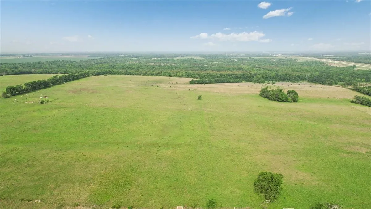 Unimproved Land For Sale in Fannin County , TBD N Fm 100, Honey Grove, Texas 75446, 0, 0, Garage spaces, 0 Sqft, built in 0, Price $3,400,000, mls#21245961, Real Estate Agent in Honey Grove, Homes For Sale in Fannin county, Homes For Sale in Honey Grove, Realtor in Honey Grove Texas, Real Estate Brokerage Independent Realty Texas, Luminita Cordes Realtor