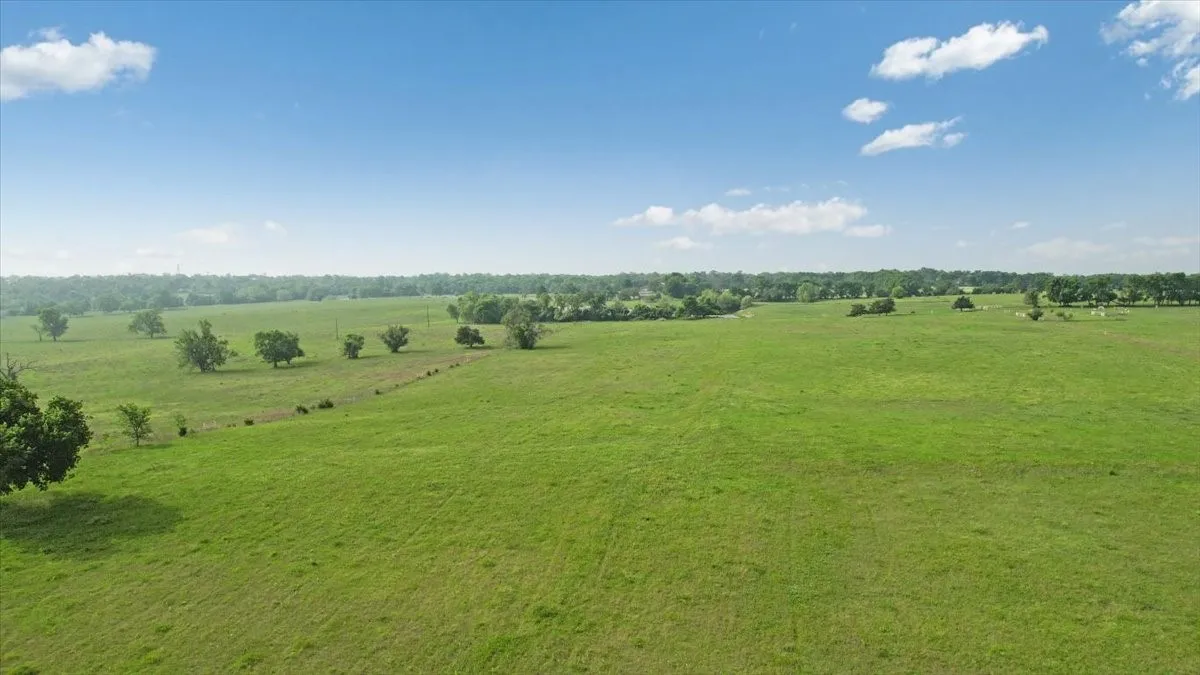 Unimproved Land For Sale in Fannin County , TBD N Fm 100, Honey Grove, Texas 75446, 0, 0, Garage spaces, 0 Sqft, built in 0, Price $3,400,000, mls#21245961, Real Estate Agent in Honey Grove, Homes For Sale in Fannin county, Homes For Sale in Honey Grove, Realtor in Honey Grove Texas, Real Estate Brokerage Independent Realty Texas, Luminita Cordes Realtor