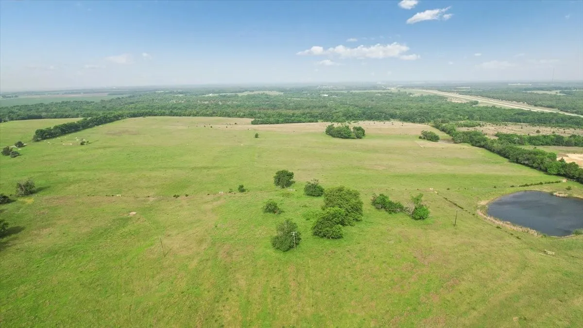 Unimproved Land For Sale in Fannin County , TBD N Fm 100, Honey Grove, Texas 75446, 0, 0, Garage spaces, 0 Sqft, built in 0, Price $3,400,000, mls#21245961, Real Estate Agent in Honey Grove, Homes For Sale in Fannin county, Homes For Sale in Honey Grove, Realtor in Honey Grove Texas, Real Estate Brokerage Independent Realty Texas, Luminita Cordes Realtor